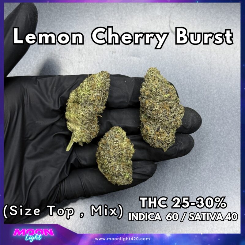 Lemon Cherry Burst By. Elev8 Seeds THC 25-30%