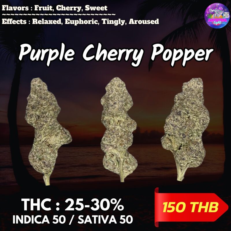 Purple Cherry Popper  By. Elev8 Seeds THC 25-30% 🌕