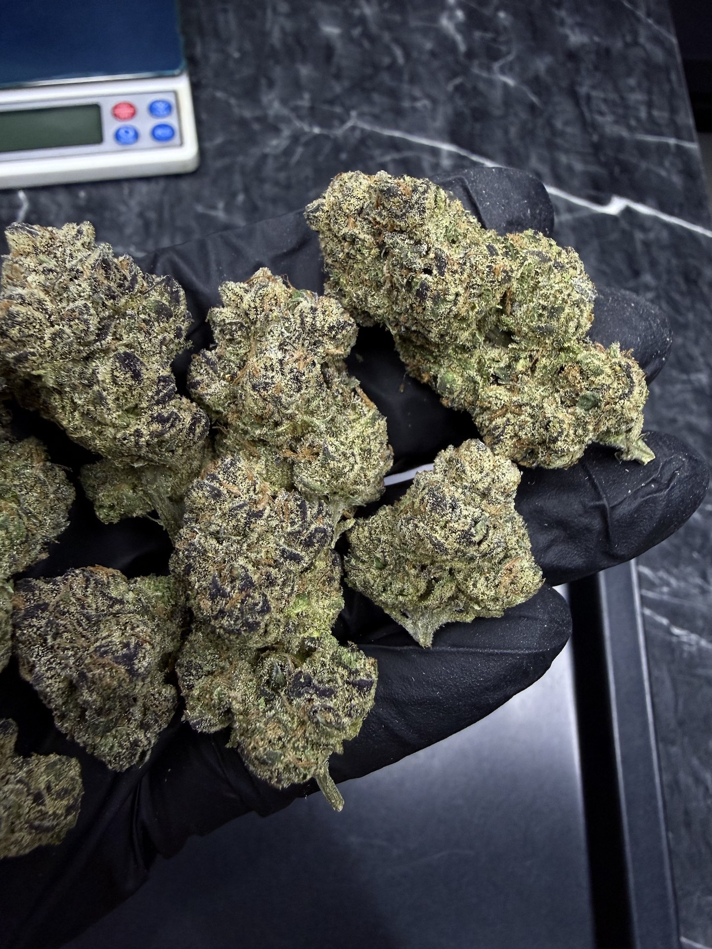 Member Berry RBX By. Ethos Genetics THC 25-30% - Image 3