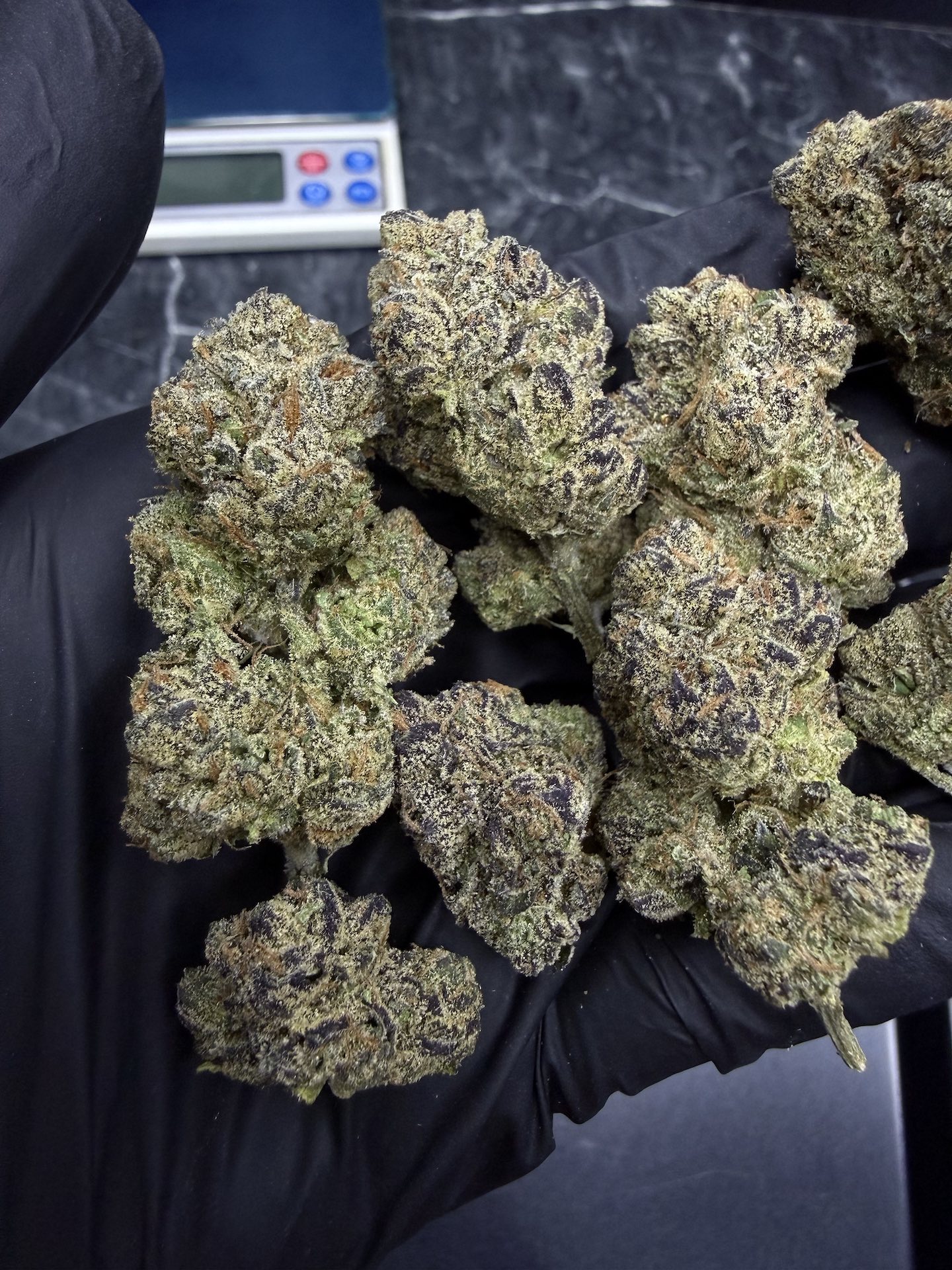 Member Berry RBX By. Ethos Genetics THC 25-30% - Image 4