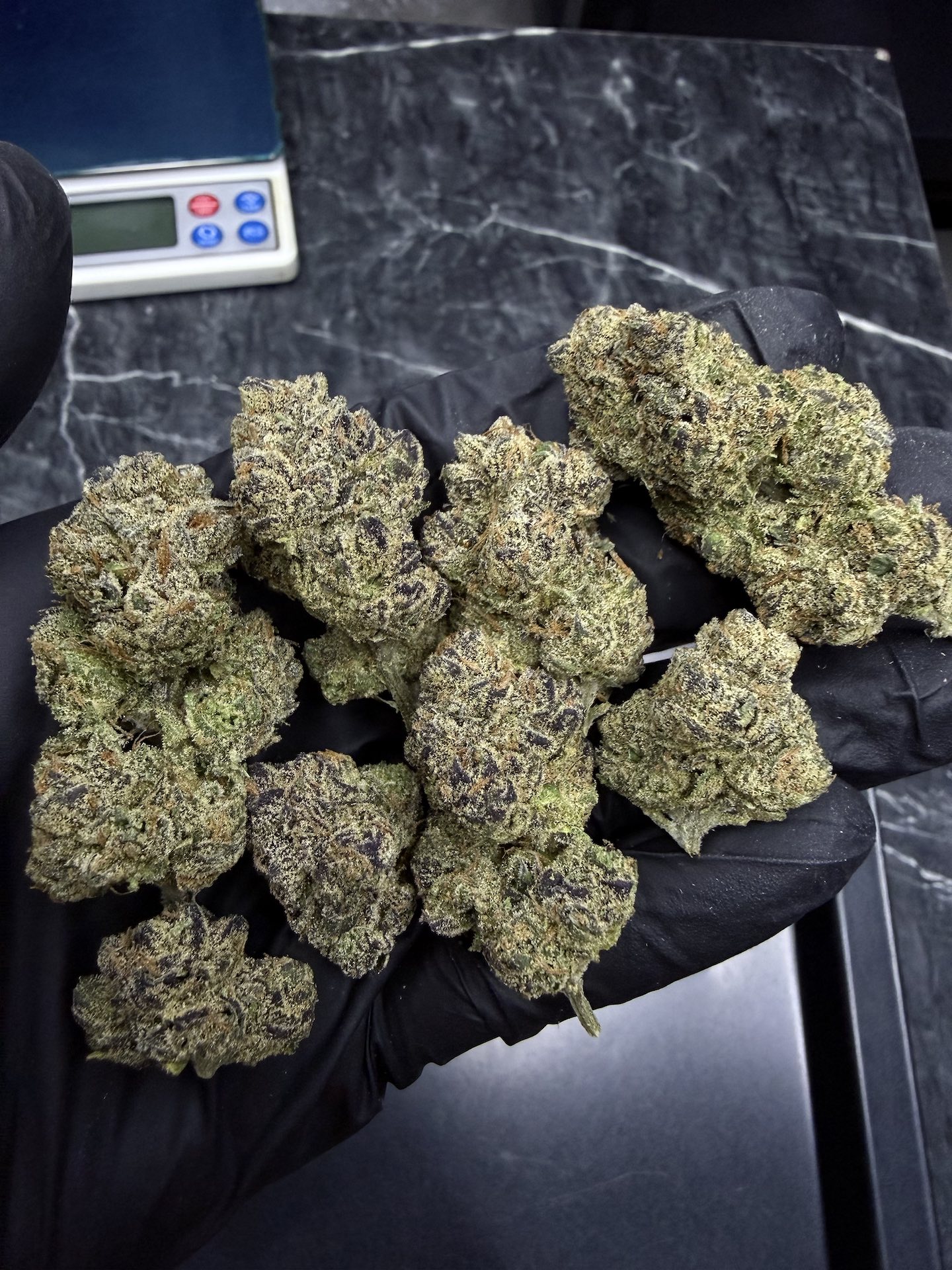 Member Berry RBX By. Ethos Genetics THC 25-30% - Image 5