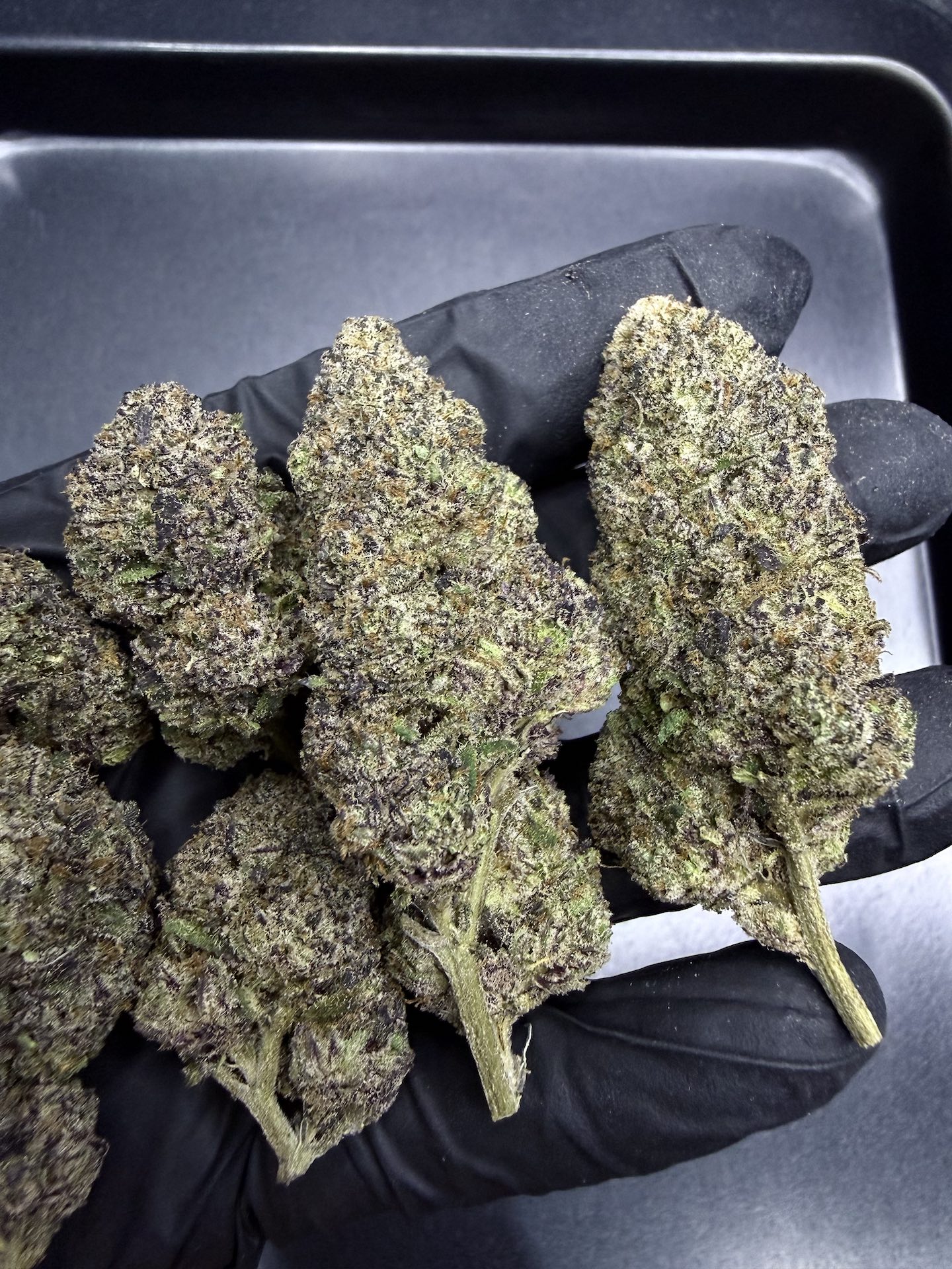 Manic Mondaze By. Exotic Genetix THC 30%+ - Image 3