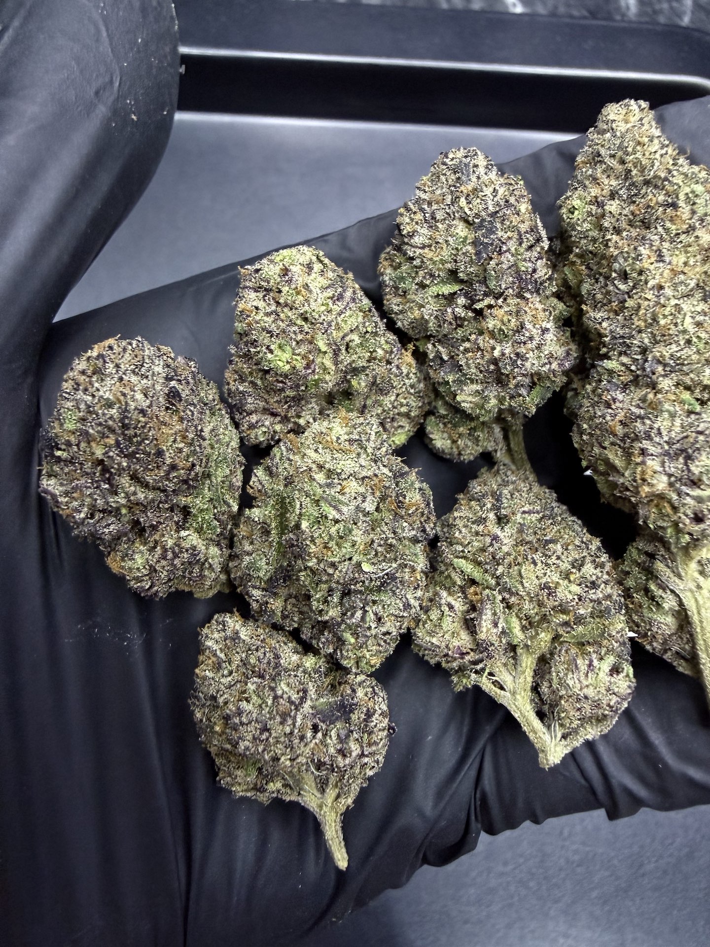 Manic Mondaze By. Exotic Genetix THC 30%+ - Image 4