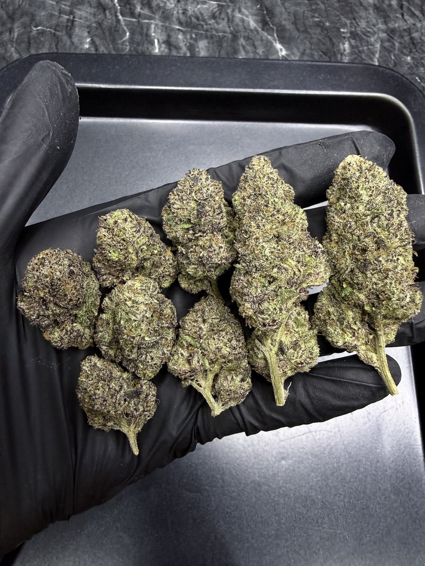 Manic Mondaze By. Exotic Genetix THC 30%+ - Image 5