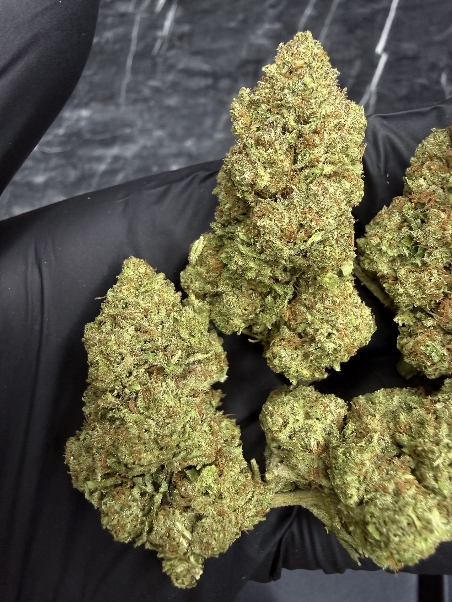 Jelly Frostbite THC 25%+ ðļ - Image 4