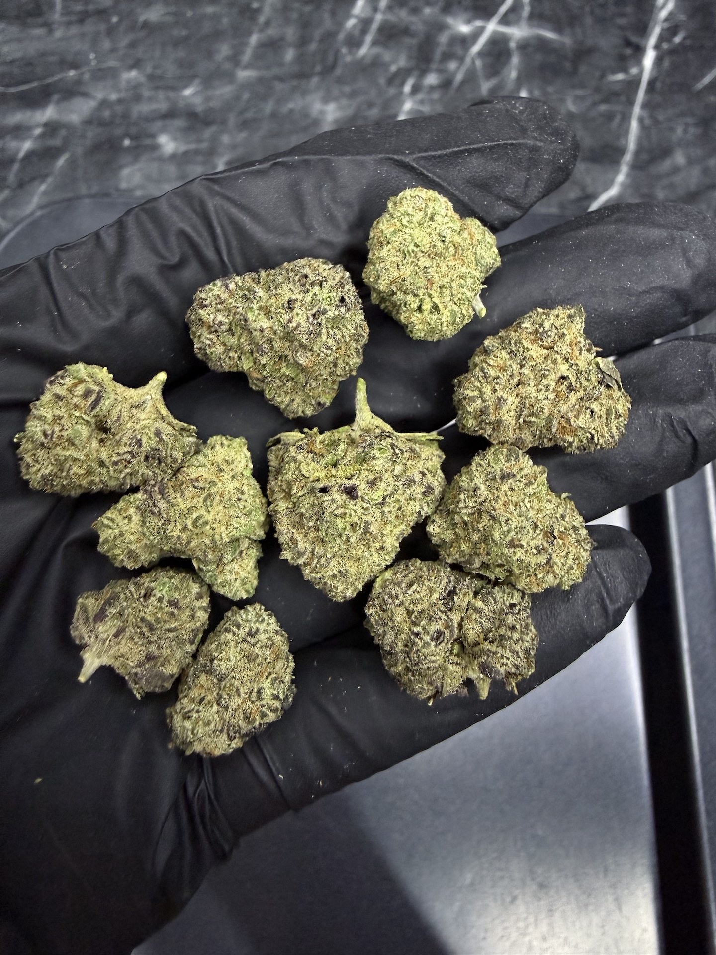 Black Amber By. Fullmoon Genetics THC 27-30% - Image 5