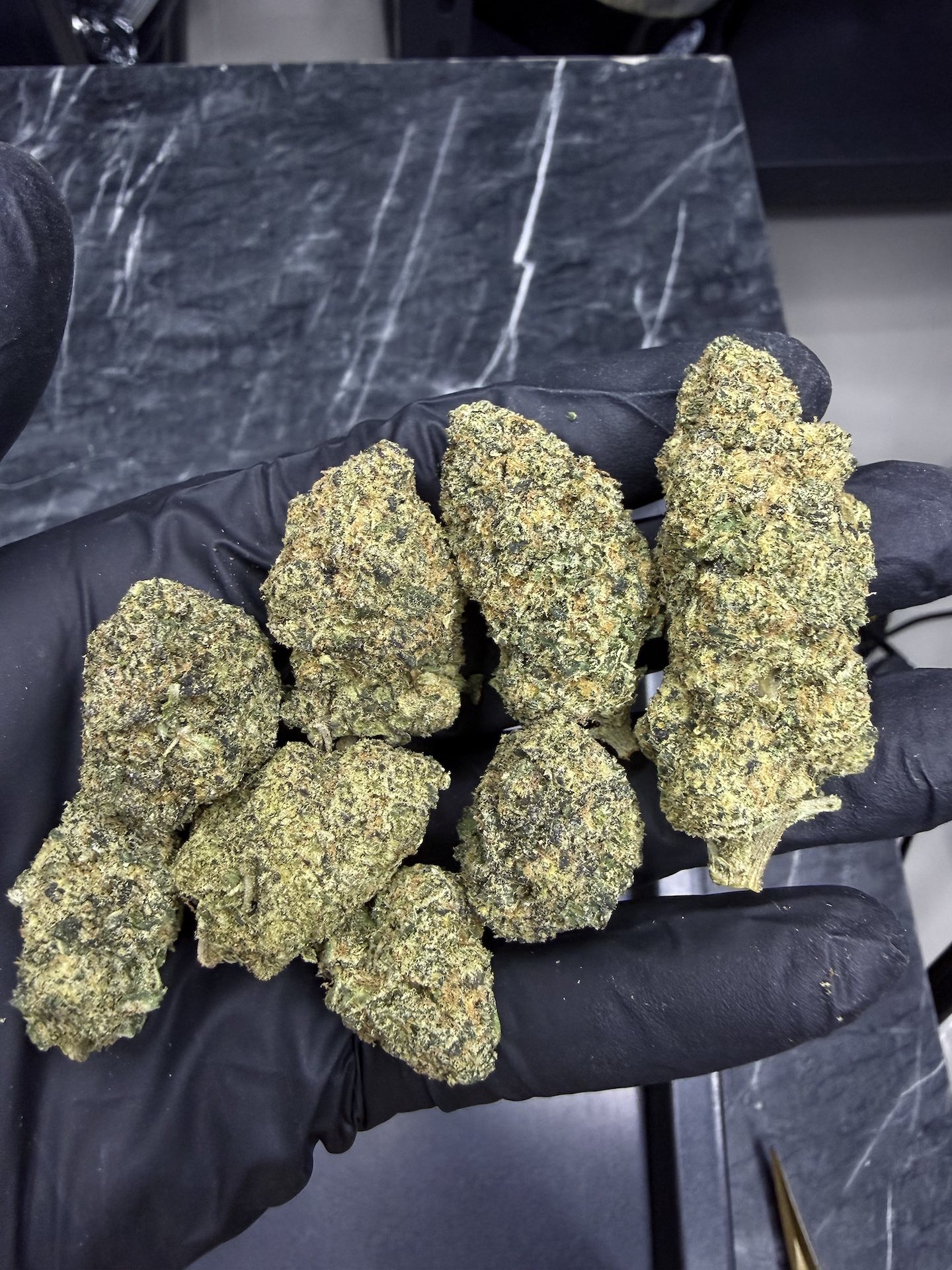 Pineapple Express By. Barney's Farm THC 25-30% - Image 5