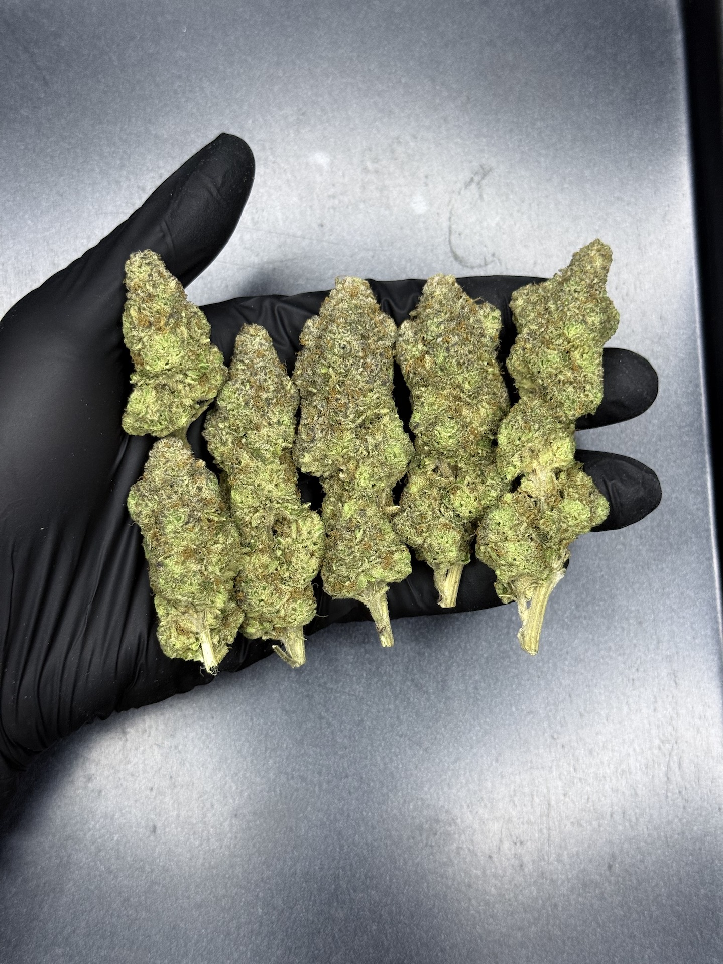 Banana Verde By. Elev8 Seeds THC 25-30% - Image 2