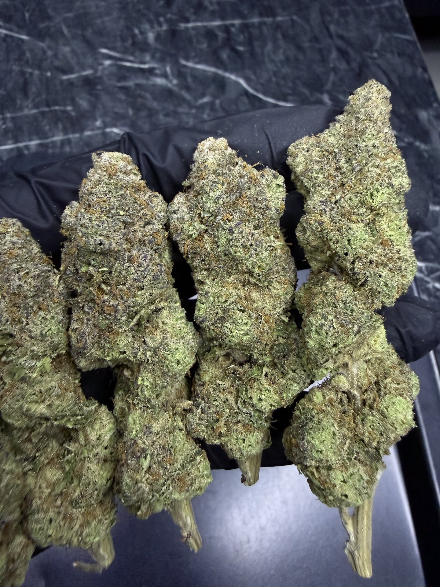 Banana Verde By. Elev8 Seeds THC 25-30% - Image 3