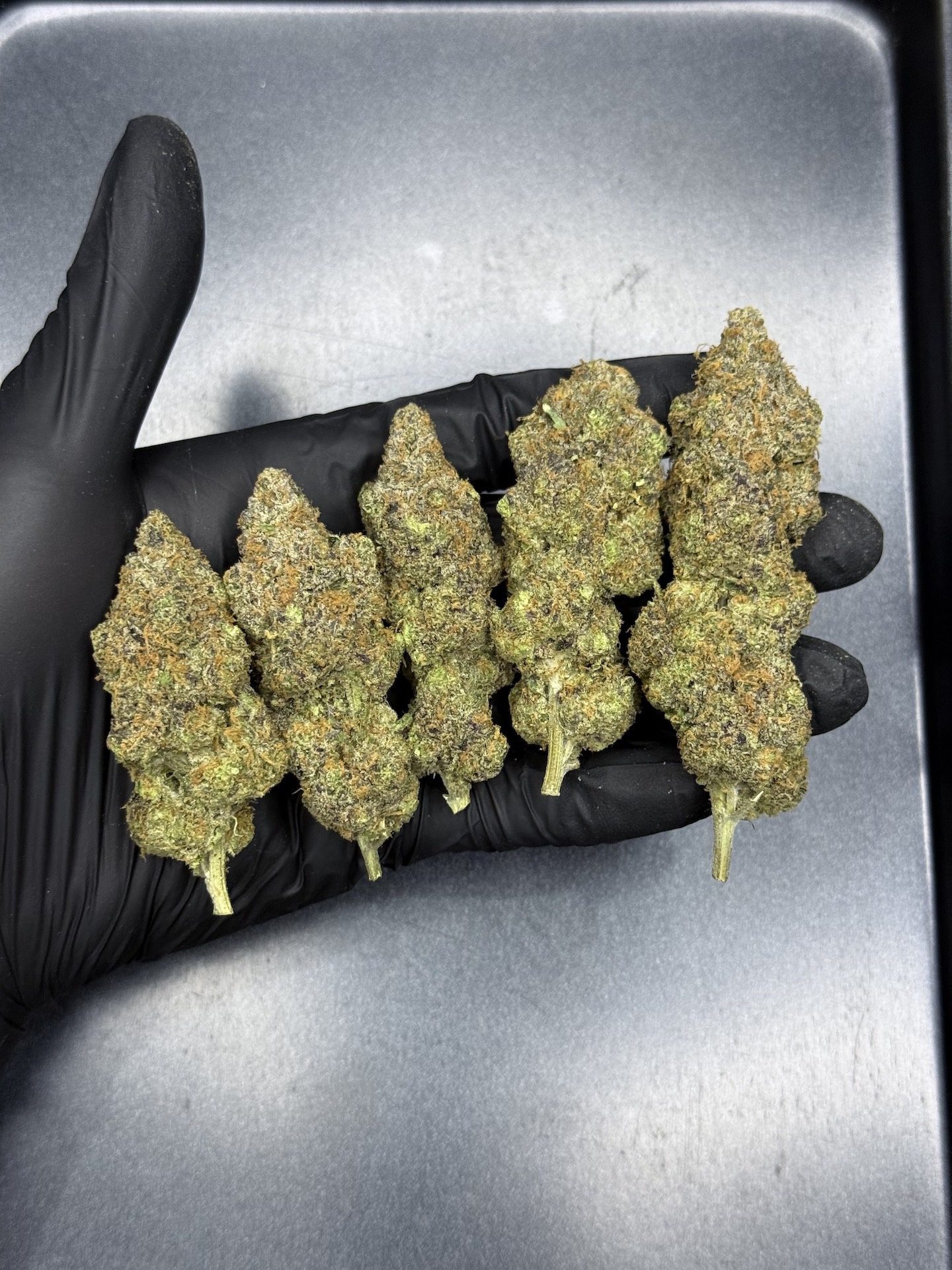 Pink Gum Ball S1 By. Copycat THC 31-33% ð - Image 3