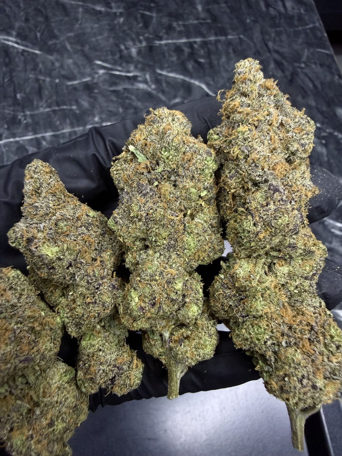 Pink Gum Ball S1 By. Copycat THC 31-33% ð - Image 4