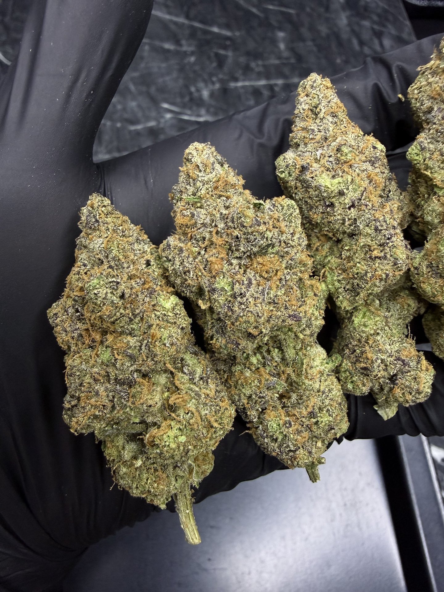 Pink Gum Ball S1 By. Copycat THC 31-33% ð - Image 5