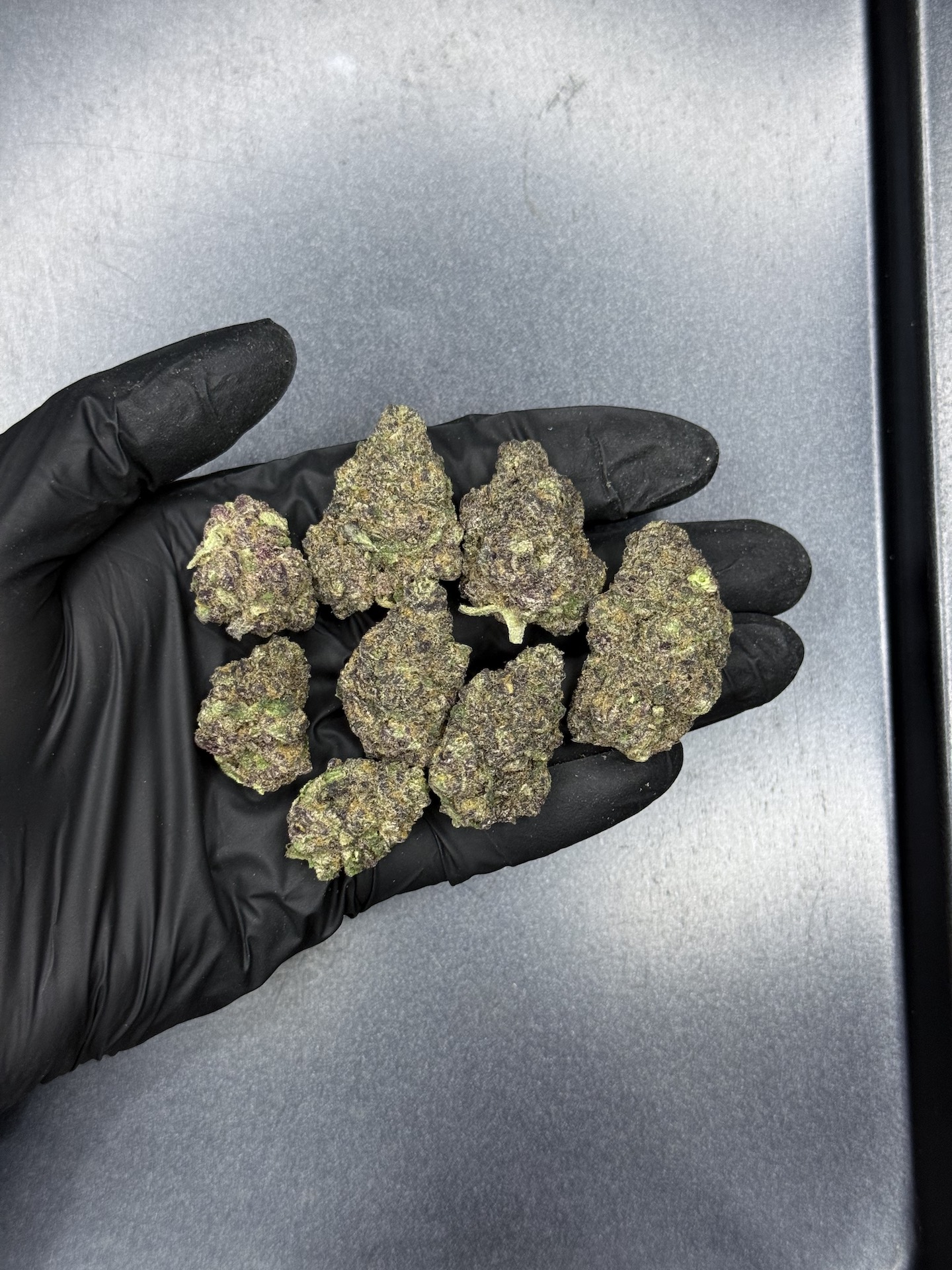 Night Moves By. Exotic Genetix THC 25-30% - Image 2