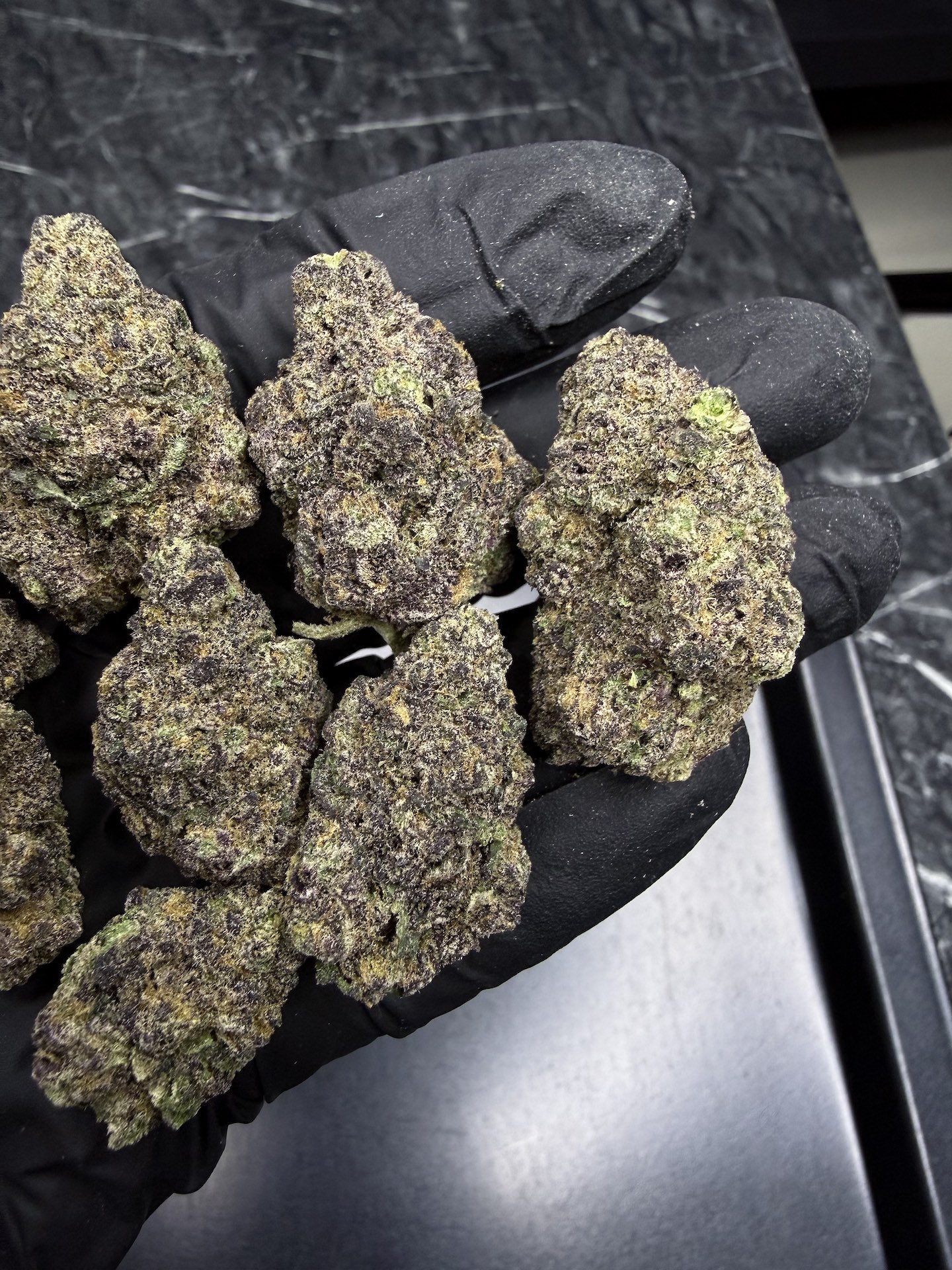Night Moves By. Exotic Genetix THC 25-30% - Image 3