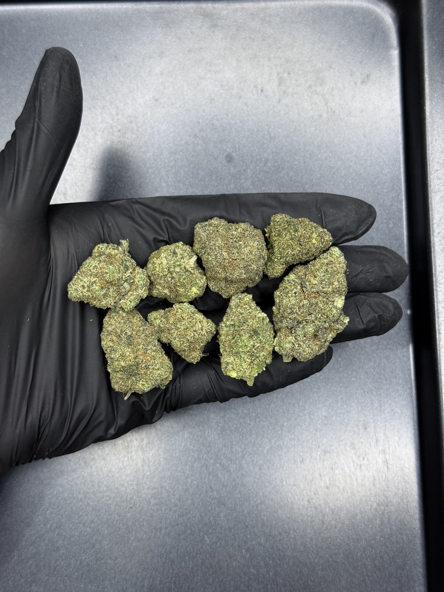 Dumb Gas By. Exotic Genetix THC 25-30% - Image 2