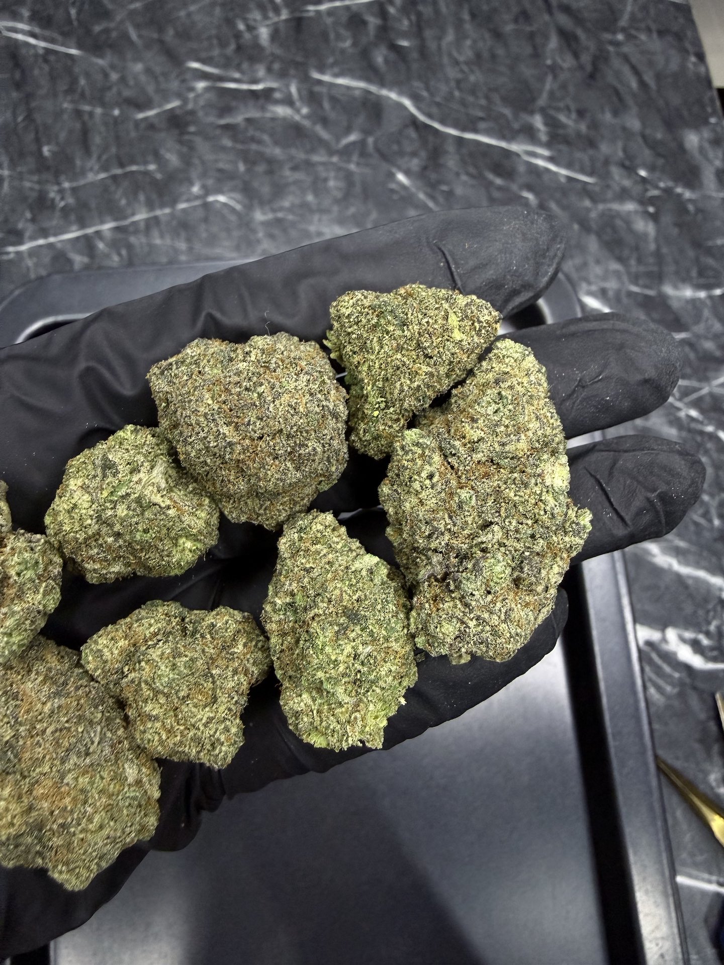 Dumb Gas By. Exotic Genetix THC 25-30% - Image 3