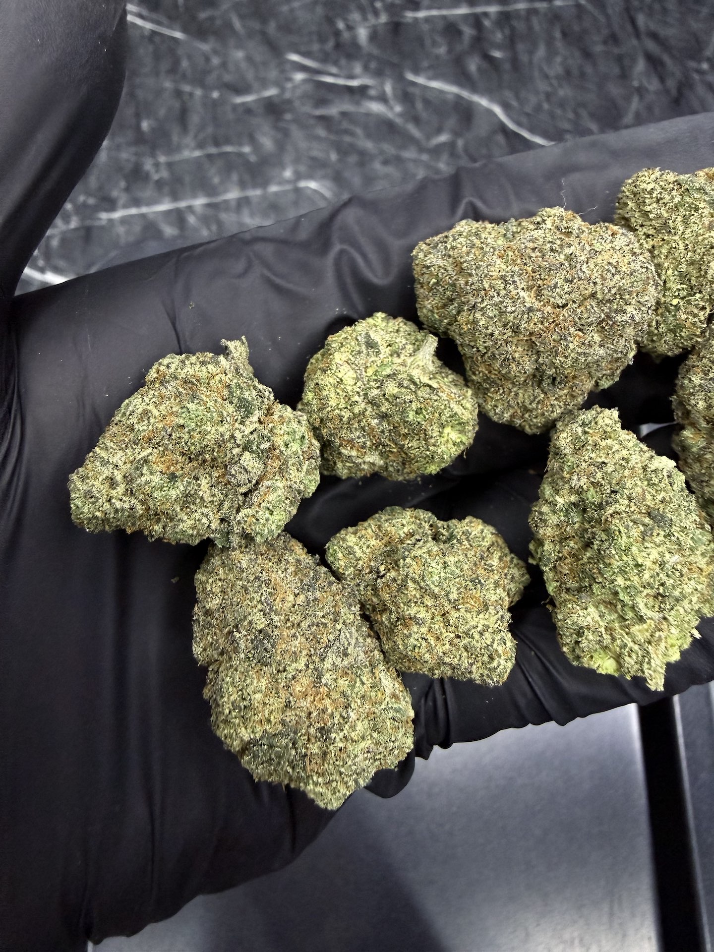 Dumb Gas By. Exotic Genetix THC 25-30% - Image 4