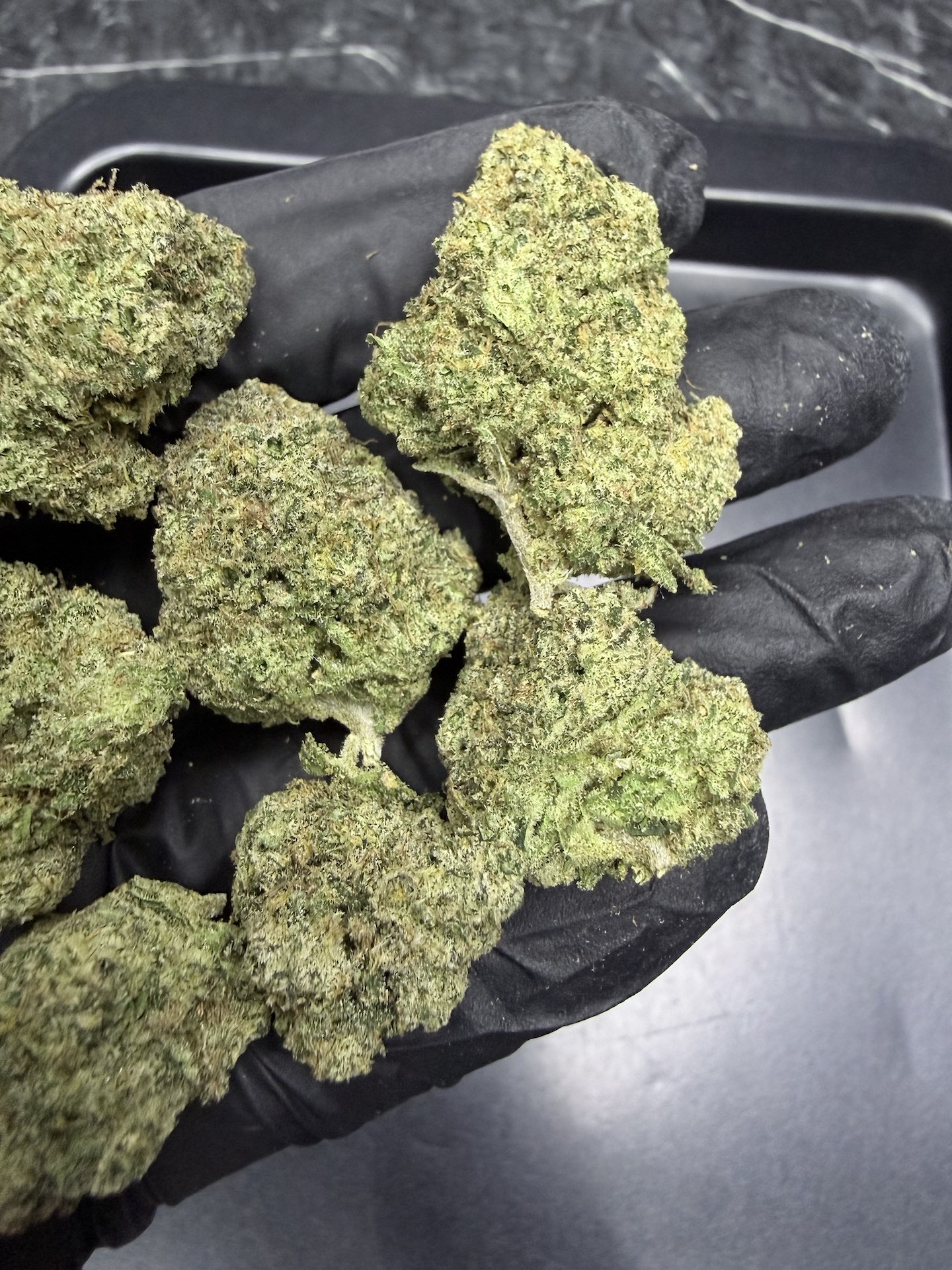Super Lemon Haze By. Green House Seed THC 25-30% - Image 4