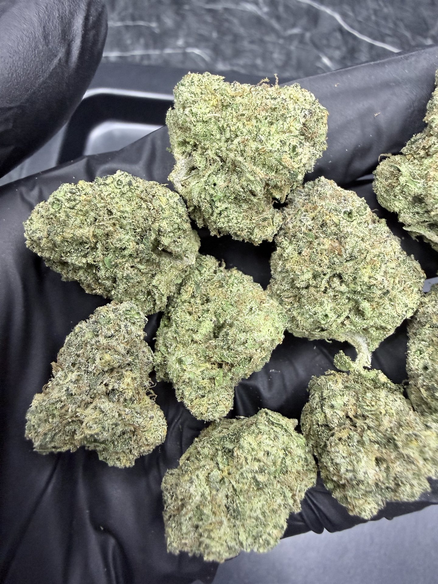 Super Lemon Haze By. Green House Seed THC 25-30% - Image 3