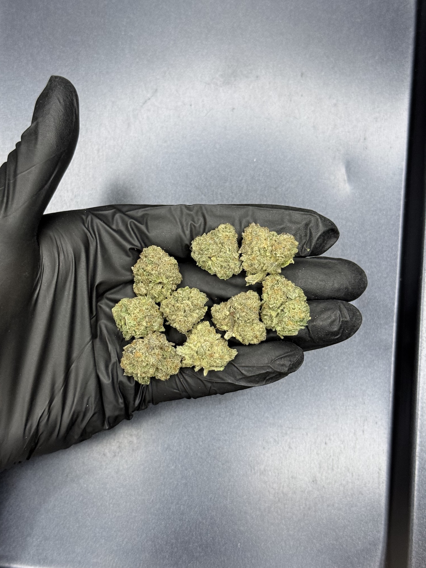 Birthday Cake S1 By. Cannarado Genetics THC 25-30% - Image 5
