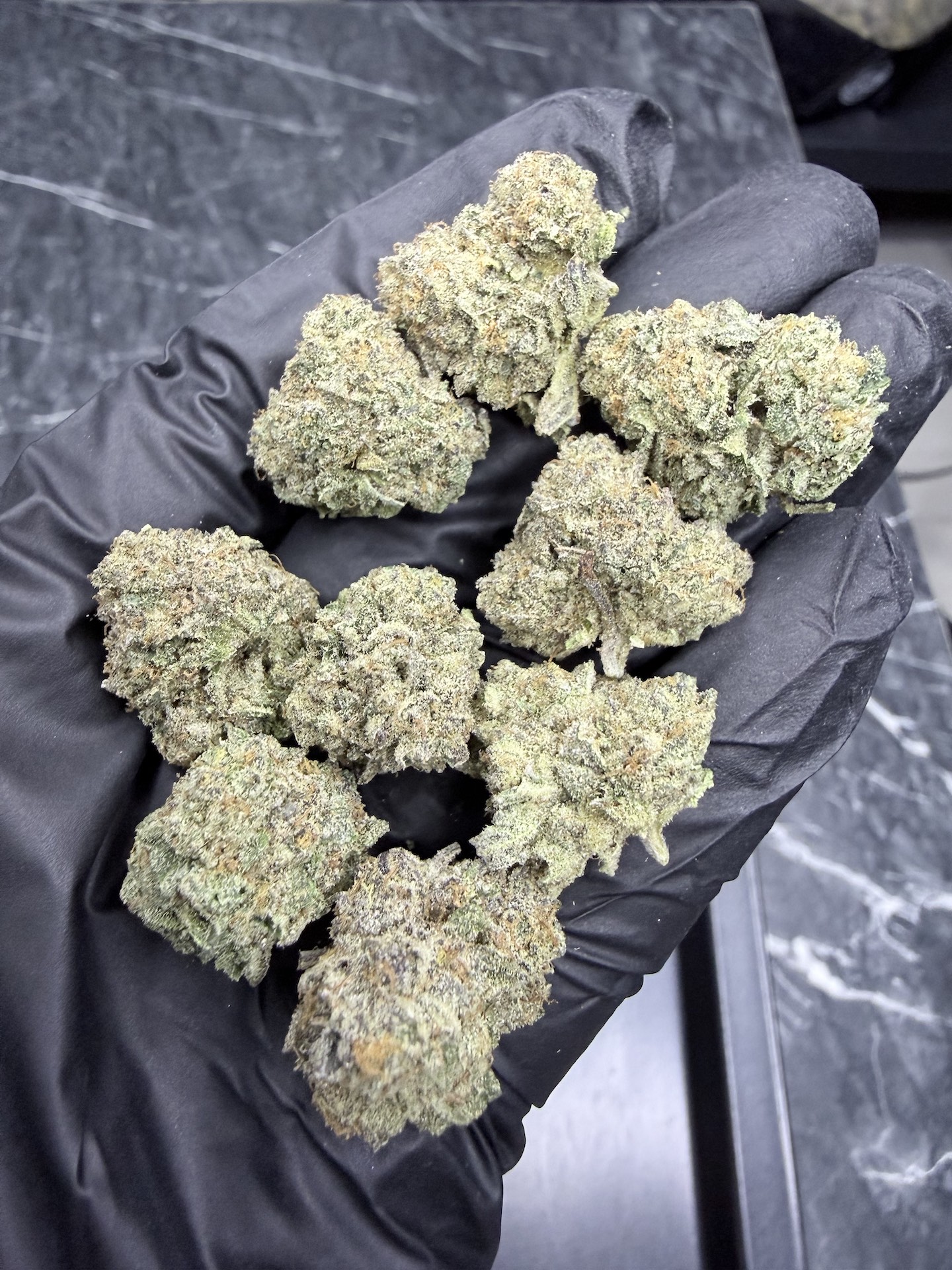 Birthday Cake S1 By. Cannarado Genetics THC 25-30% - Image 2