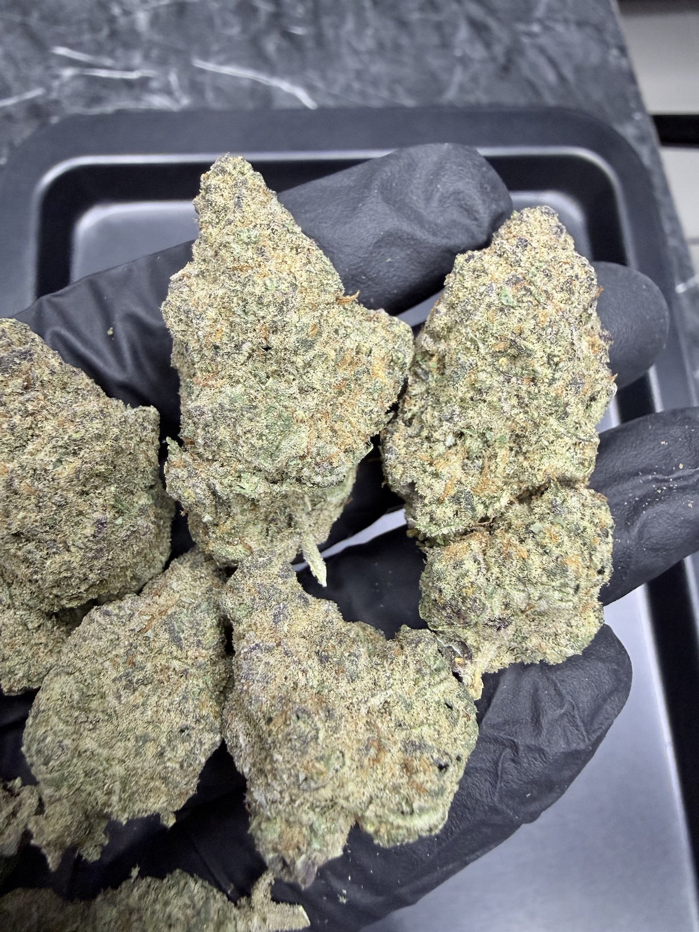 Planet of the Grapes By. Ethos Genetics THC 25-30% - Image 4