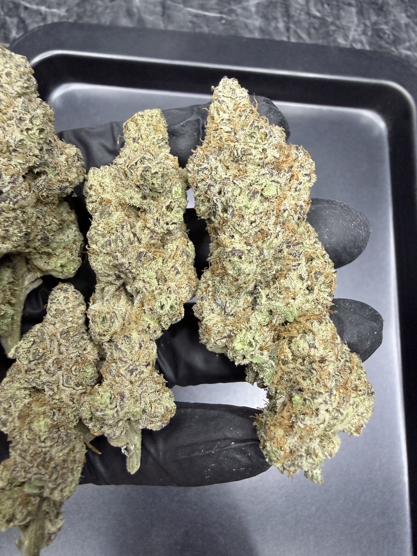 Detroit Cherries By. Tiki Madman THC 25-30% ð - Image 5