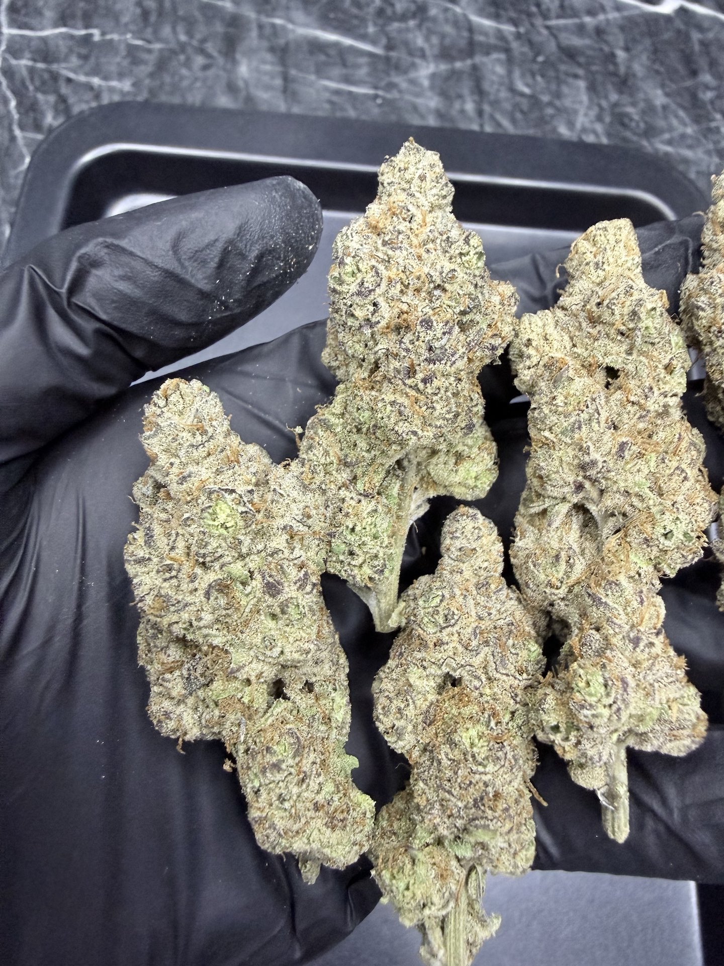 Detroit Cherries By. Tiki Madman THC 25-30% ð - Image 4
