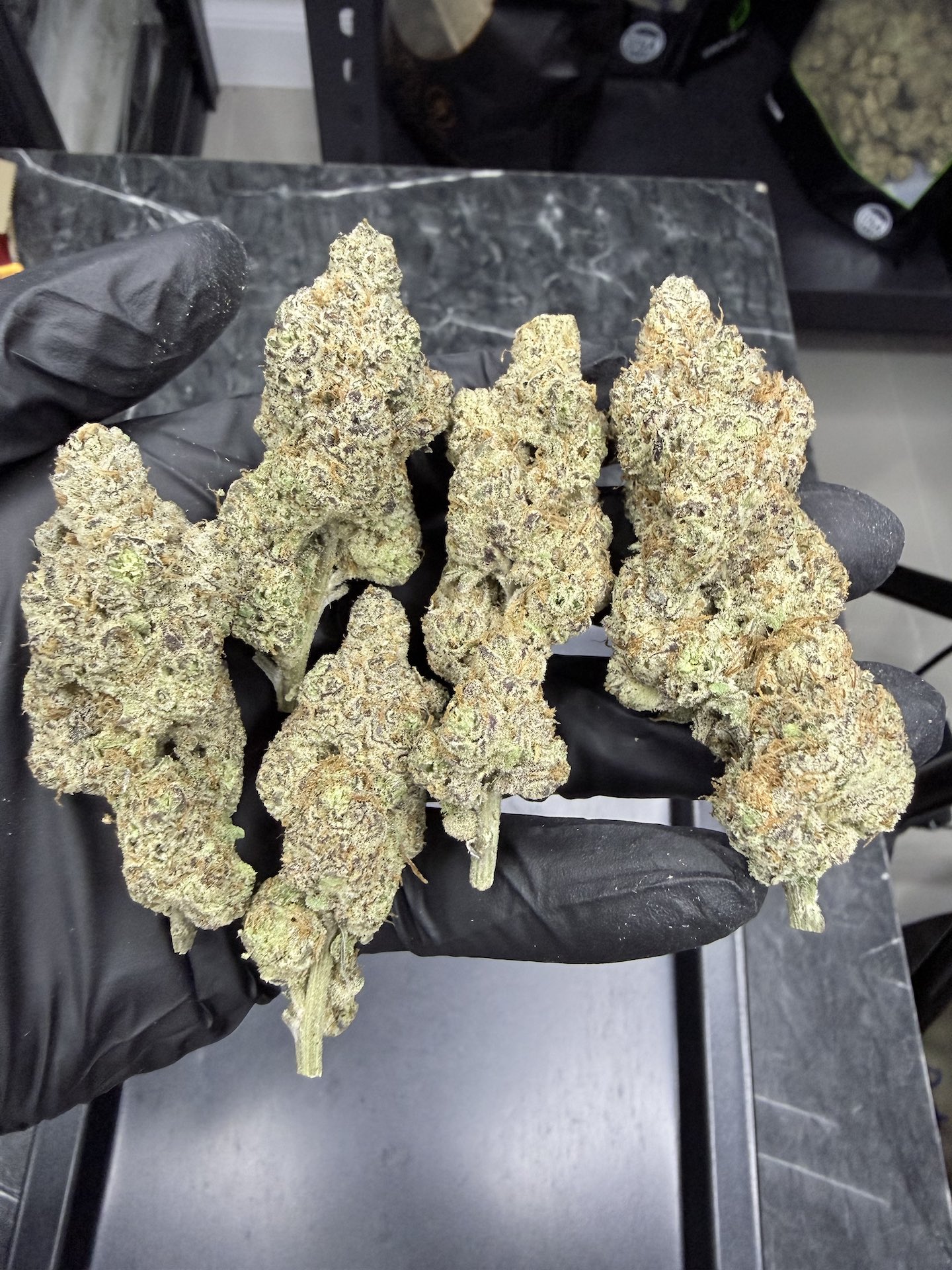 Detroit Cherries By. Tiki Madman THC 25-30% ð - Image 3