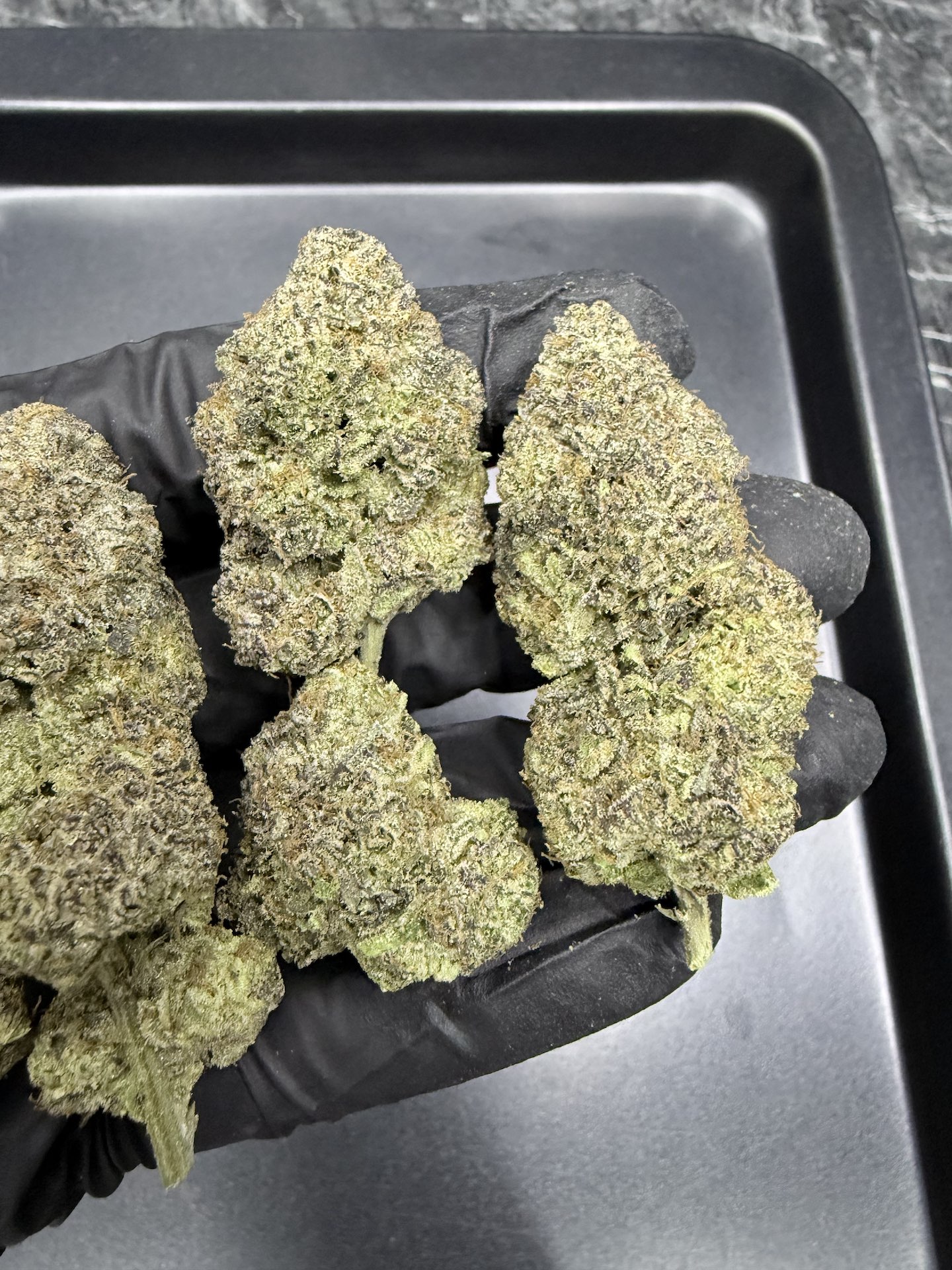 Myrtle Beach By. Seed Junky THC 25-30% - Image 4