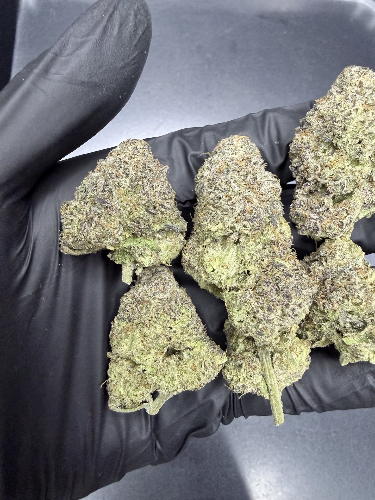 Myrtle Beach By. Seed Junky THC 25-30% - Image 5