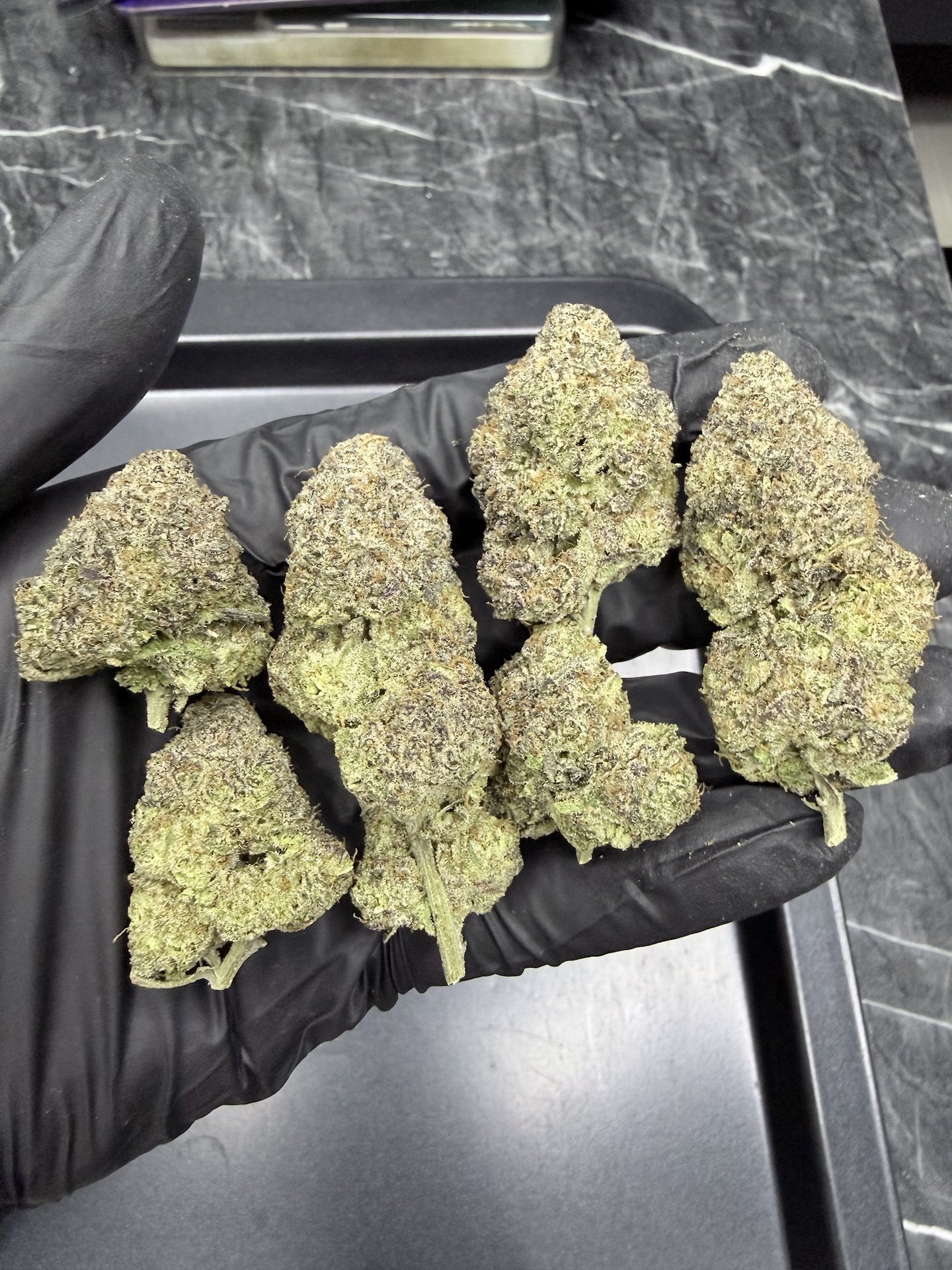 Myrtle Beach By. Seed Junky THC 25-30% - Image 2