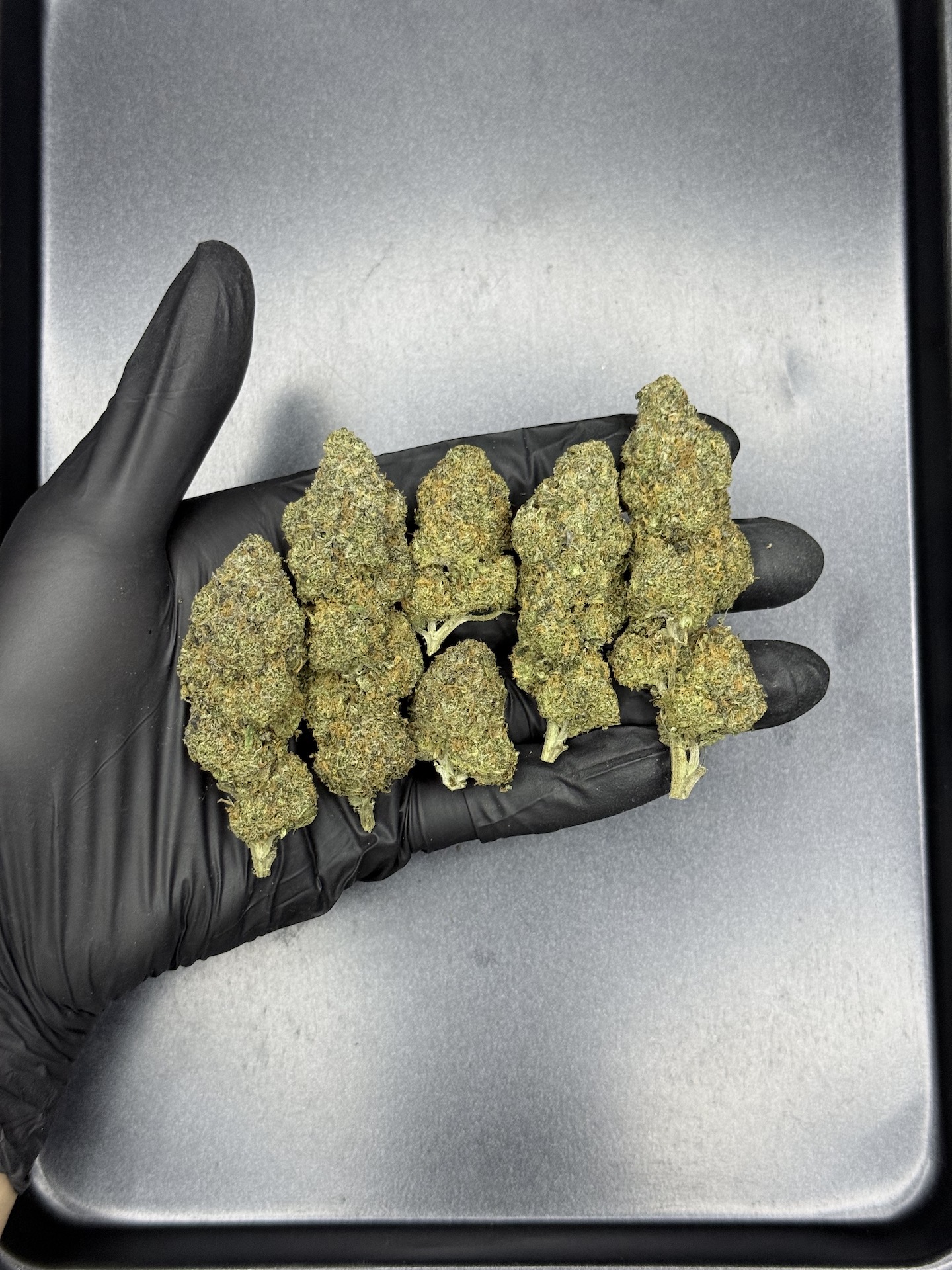 Hippie Crasher By. Jungle Boys THC 25-30% - Image 2