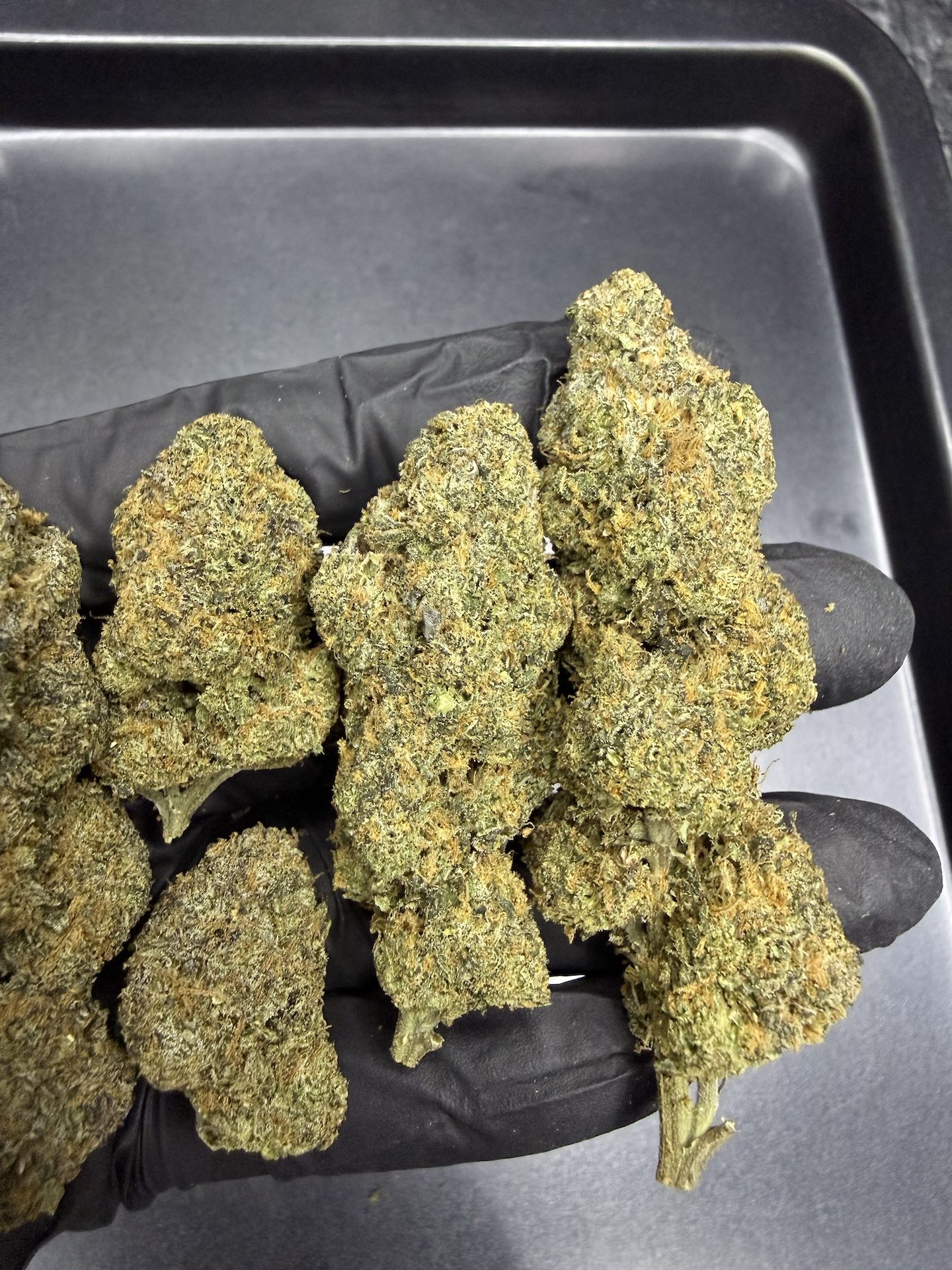 Hippie Crasher By. Jungle Boys THC 25-30% - Image 5
