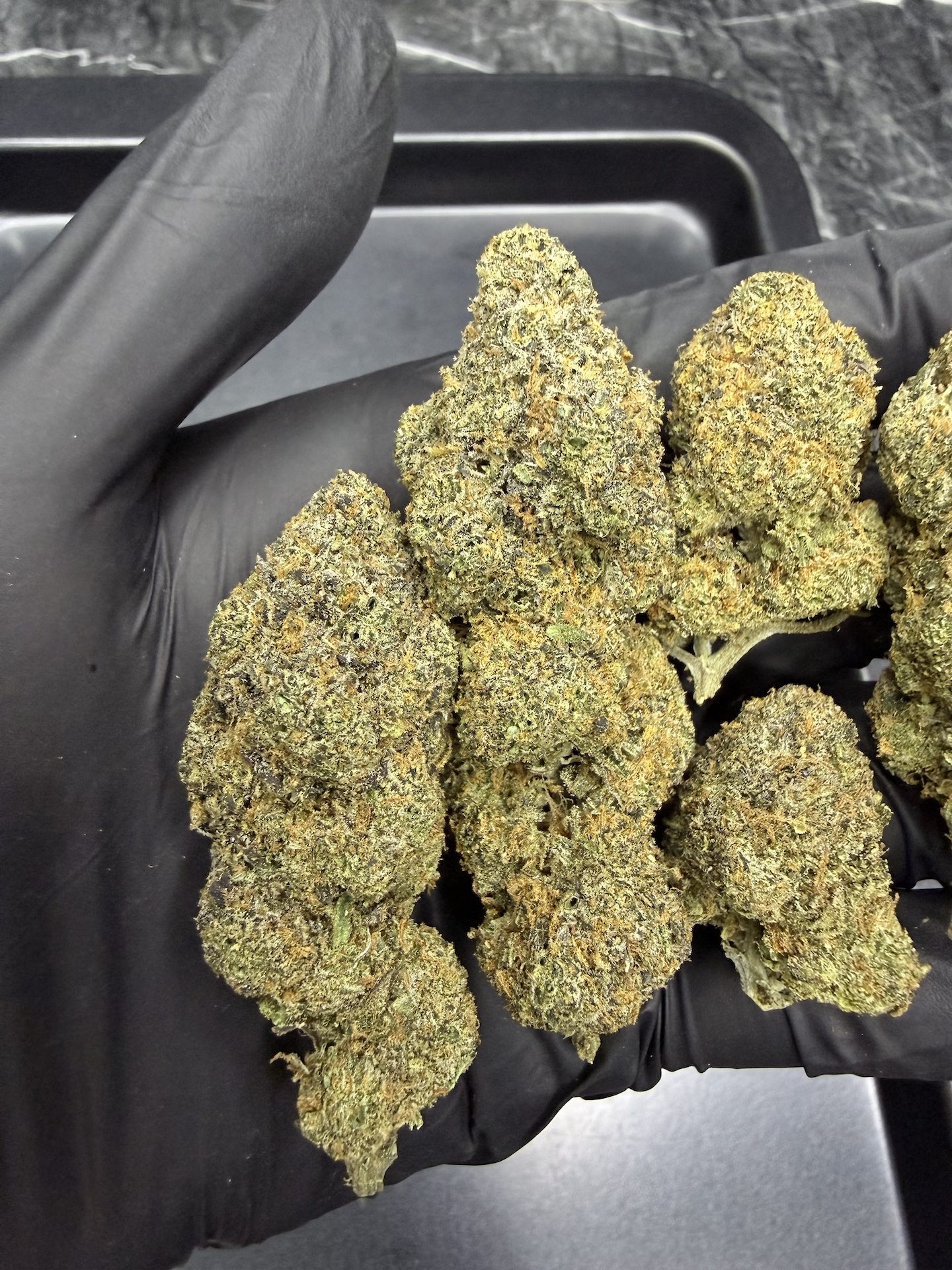 Hippie Crasher By. Jungle Boys THC 25-30% - Image 4