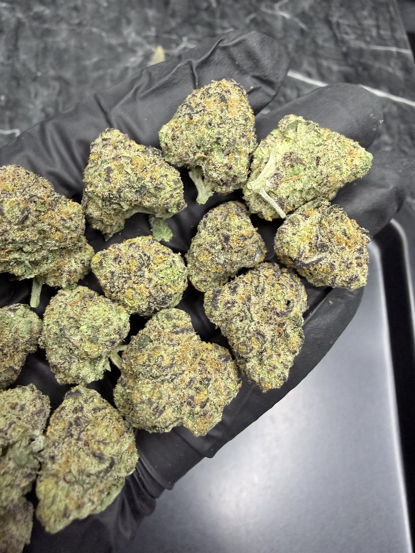Blackberry Oreo By. Copycat Genetix THC 30%+ - Image 5