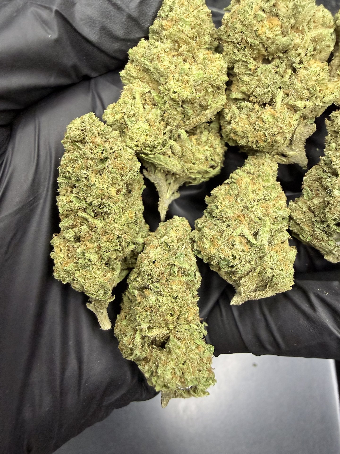 Sweetie Pie THC 25%+ ðļ - Image 4