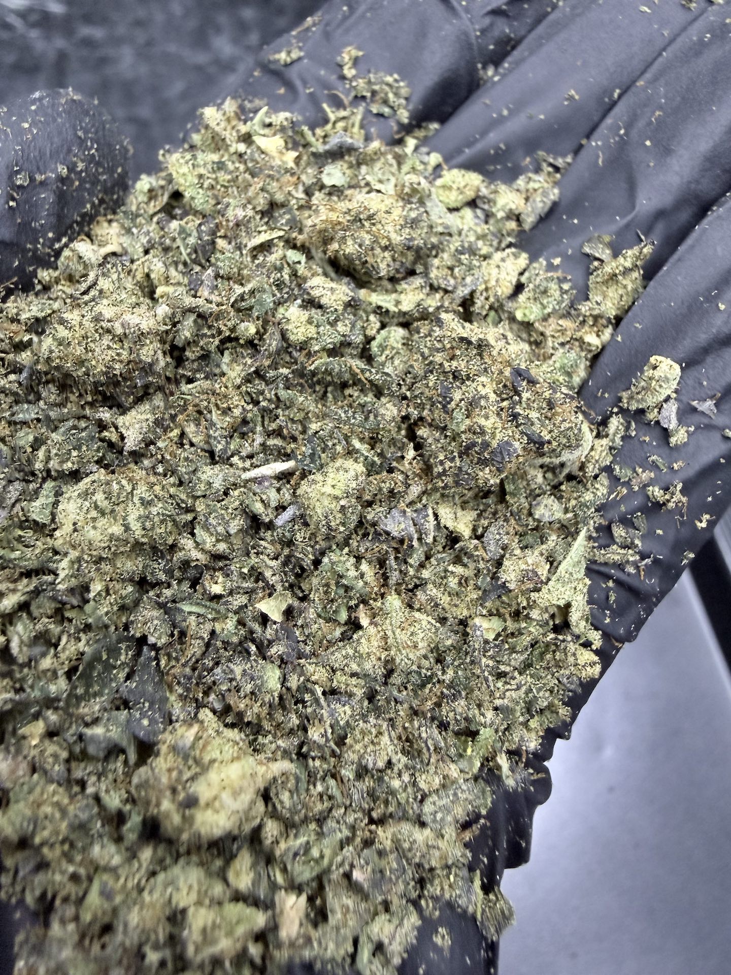 ทริม+เศษดอก Wizard Fuel By. Wizard Tree THC 25-30% - Image 2