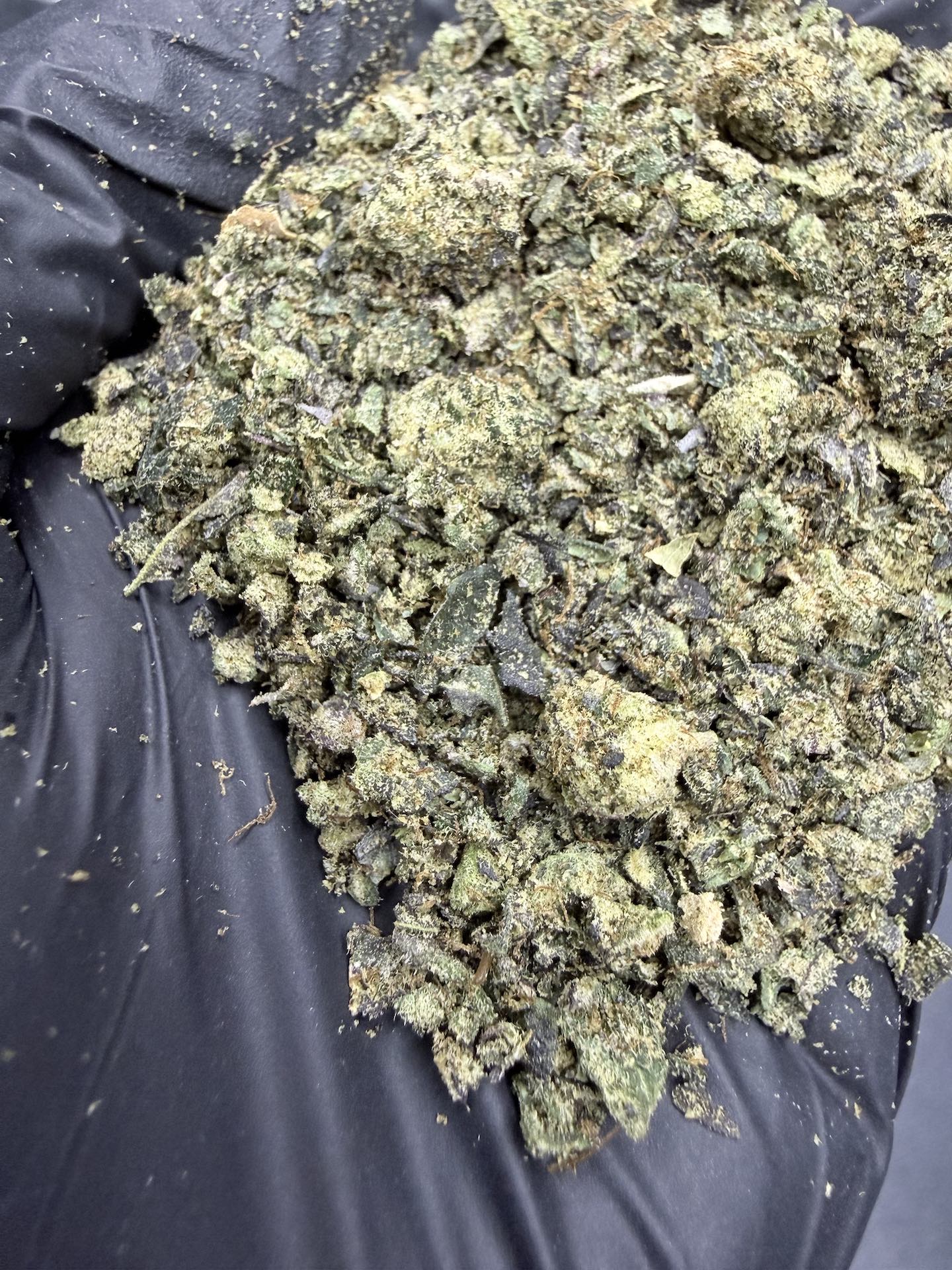 ทริม+เศษดอก Wizard Fuel By. Wizard Tree THC 25-30% - Image 3