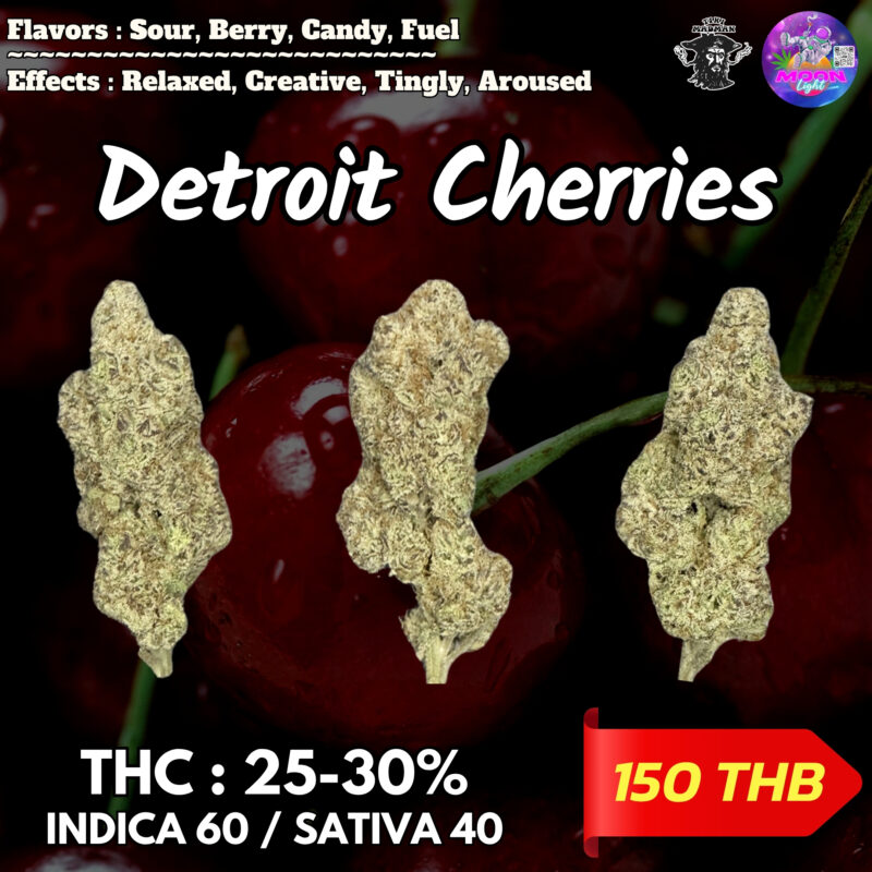 Detroit Cherries By. Tiki Madman THC 25-30% 🌕