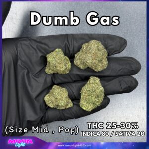 Dumb Gas By. Exotic Genetix THC 25-30%