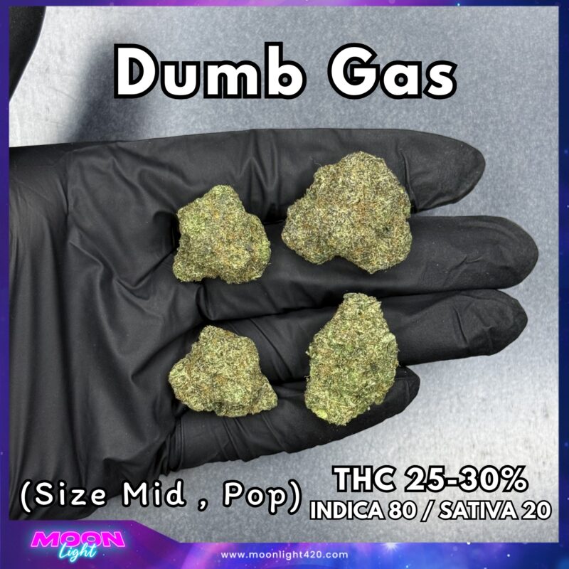Dumb Gas By. Exotic Genetix THC 25-30%