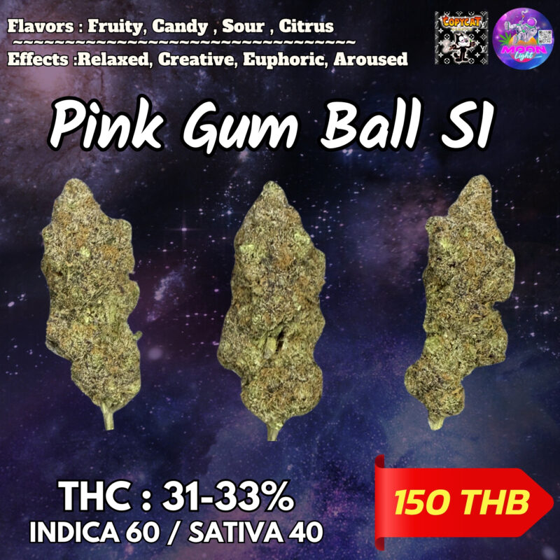 Pink Gum Ball S1  By. Copycat THC 31-33% 🌕