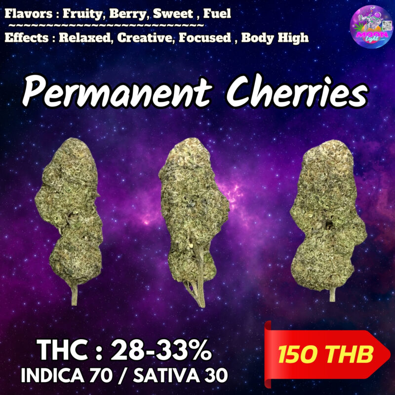 Permanent Cherries  By. Seed Junky THC 28-33% 🌕