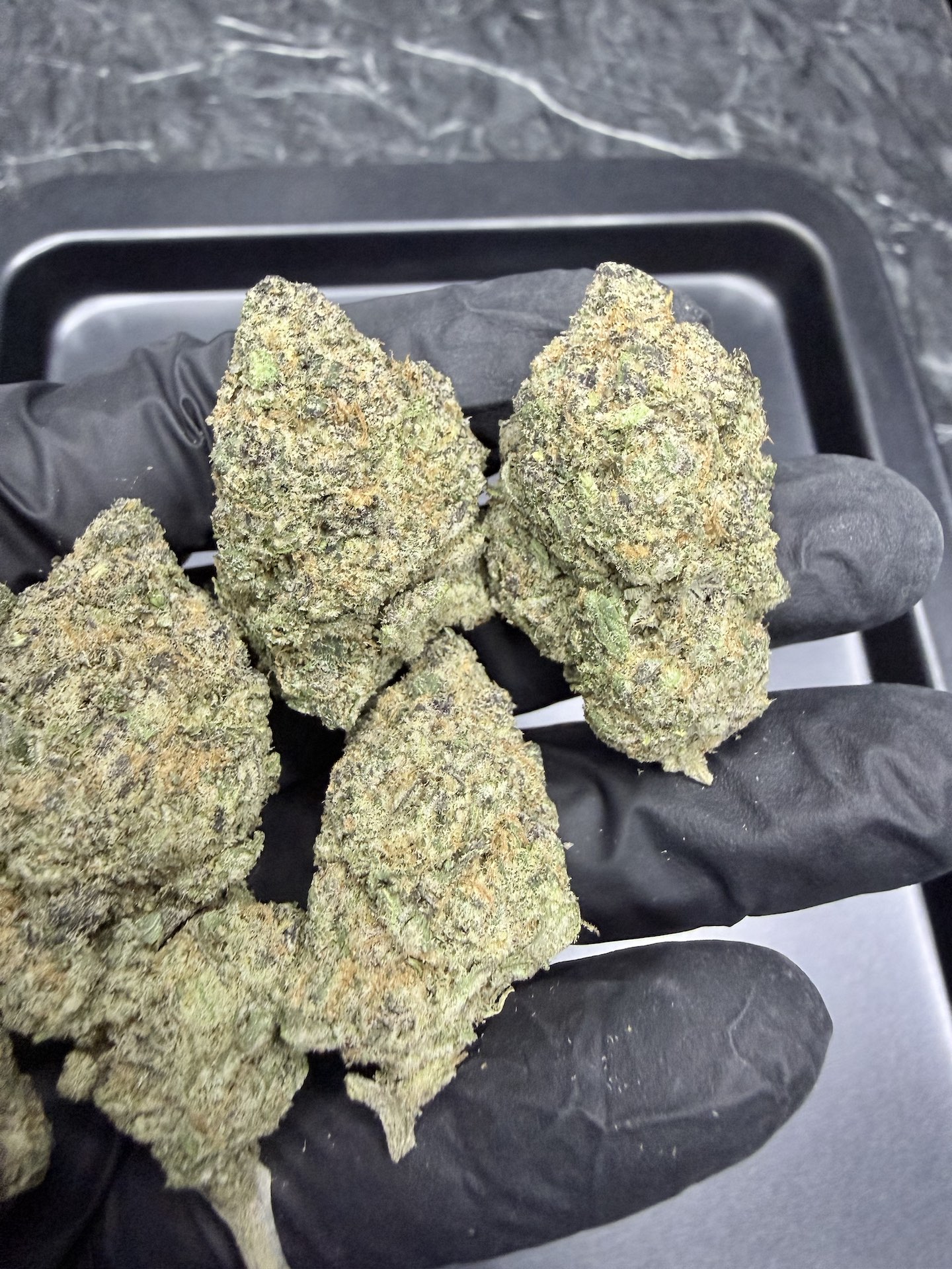 Mandarin Sunset By. Ethos Genetics THC 25-30% - Image 3