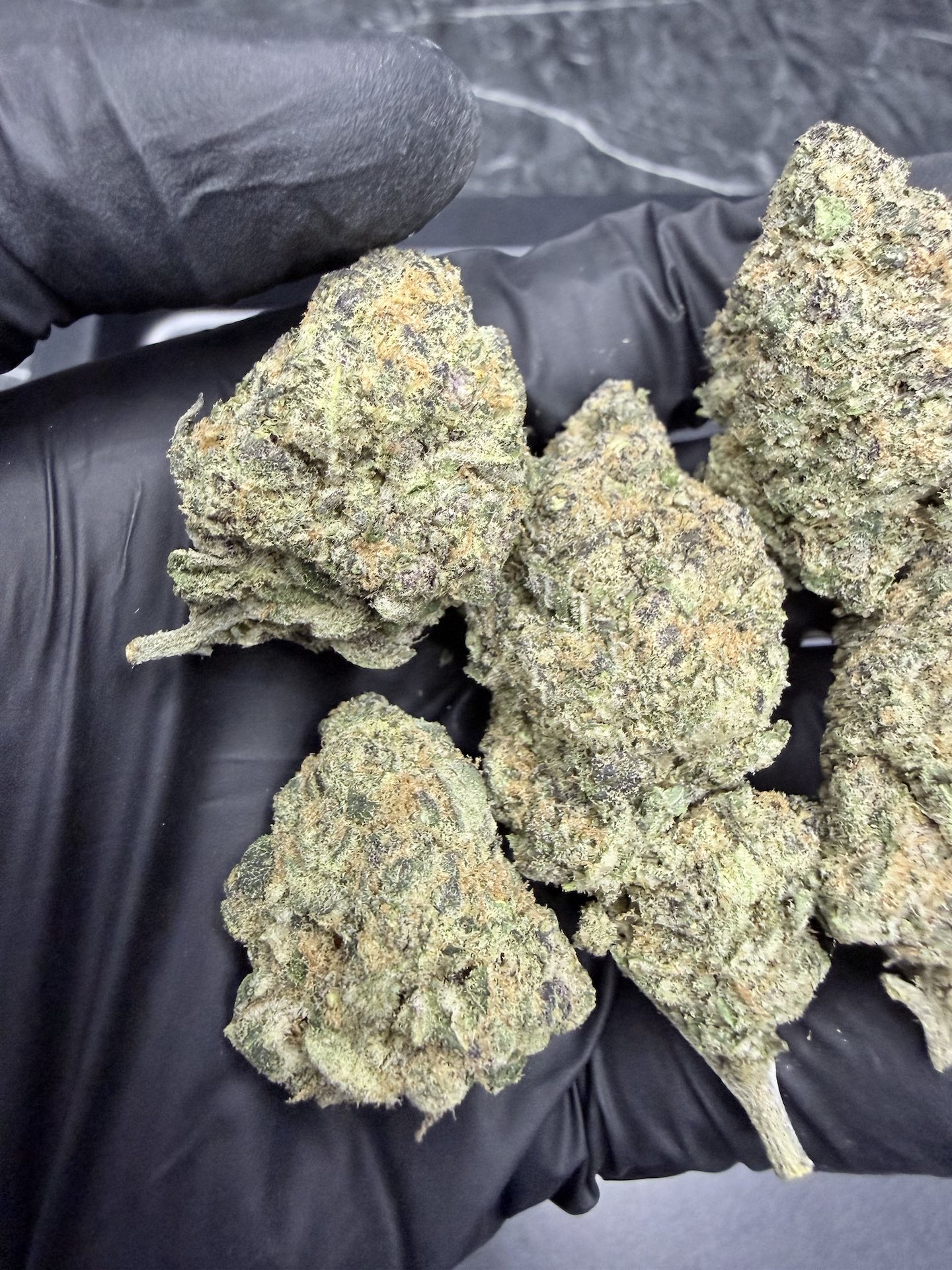 Mandarin Sunset By. Ethos Genetics THC 25-30% - Image 4
