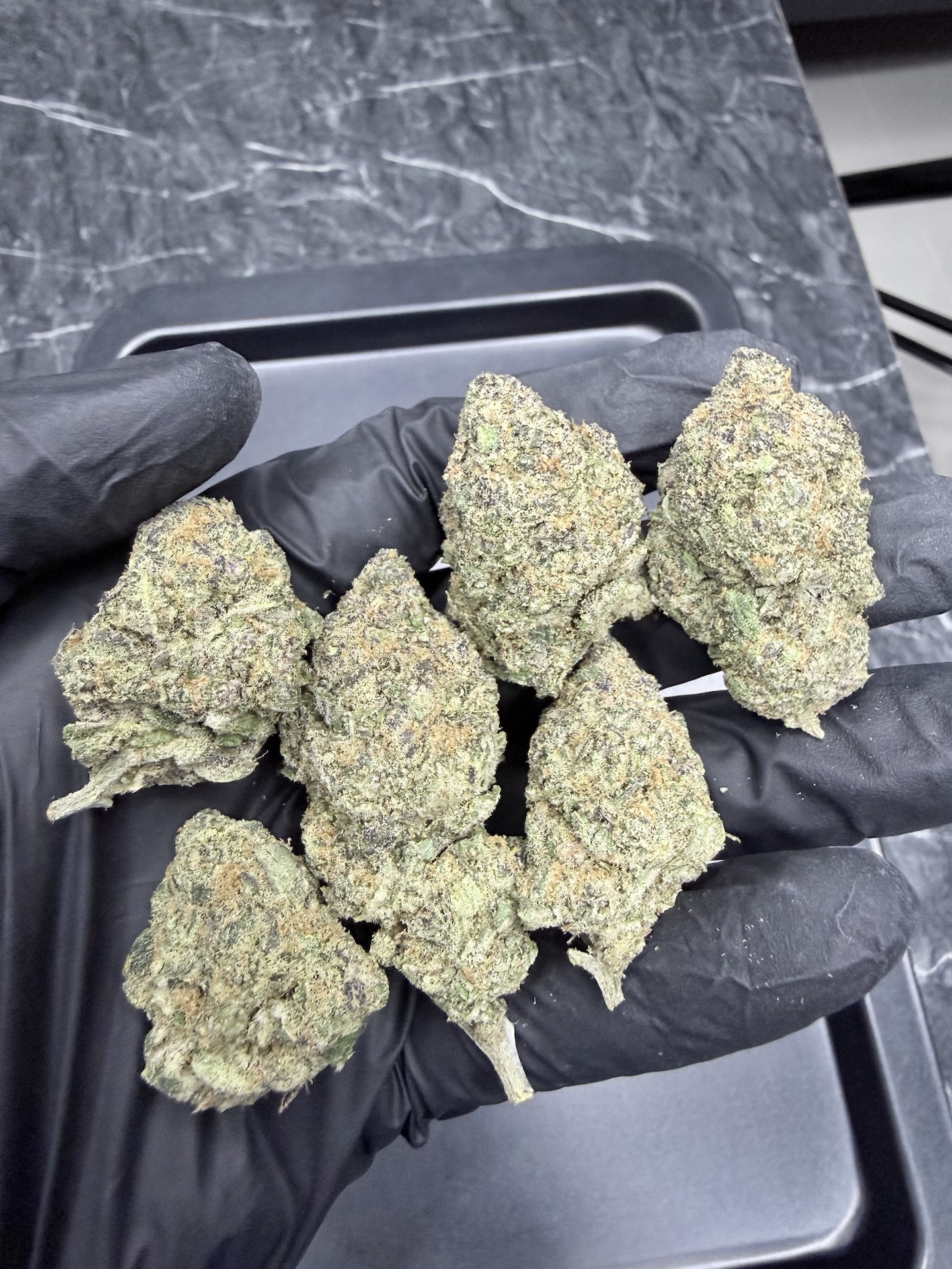 Mandarin Sunset By. Ethos Genetics THC 25-30% - Image 5