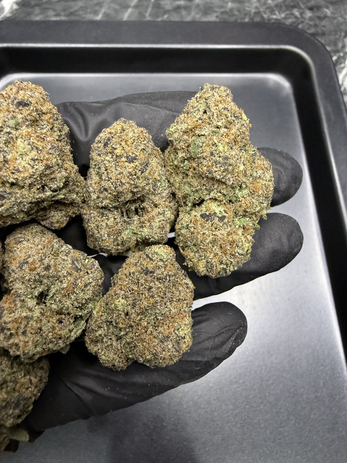 Blackberry Moonrocks By. Blimburn Seeds THC 30%+ - Image 5
