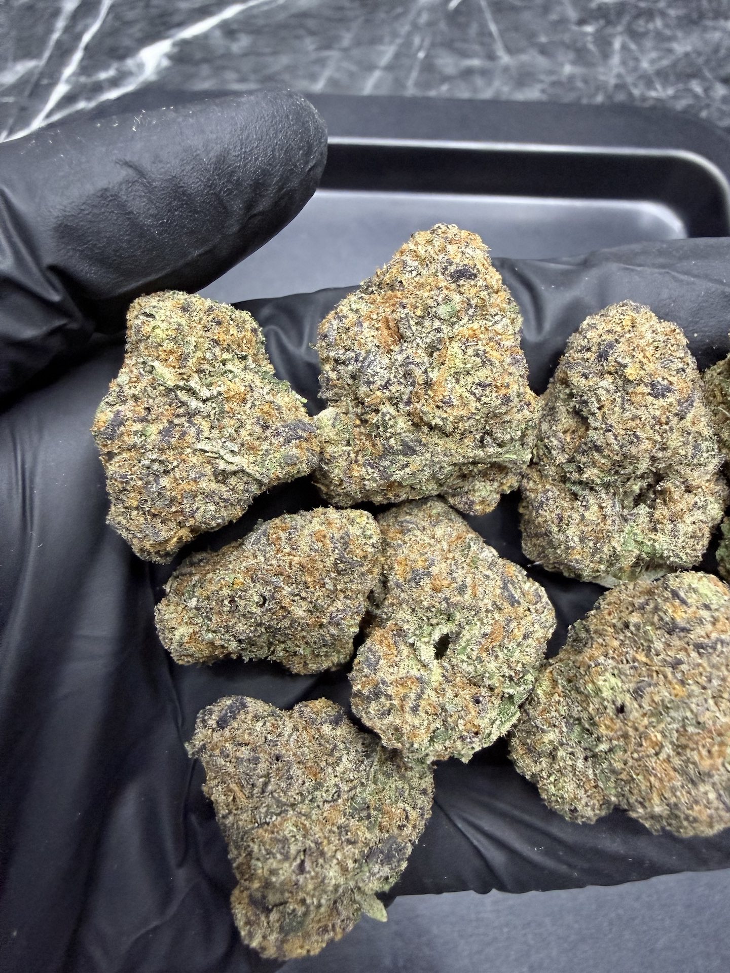 Blackberry Moonrocks By. Blimburn Seeds THC 30%+ - Image 4