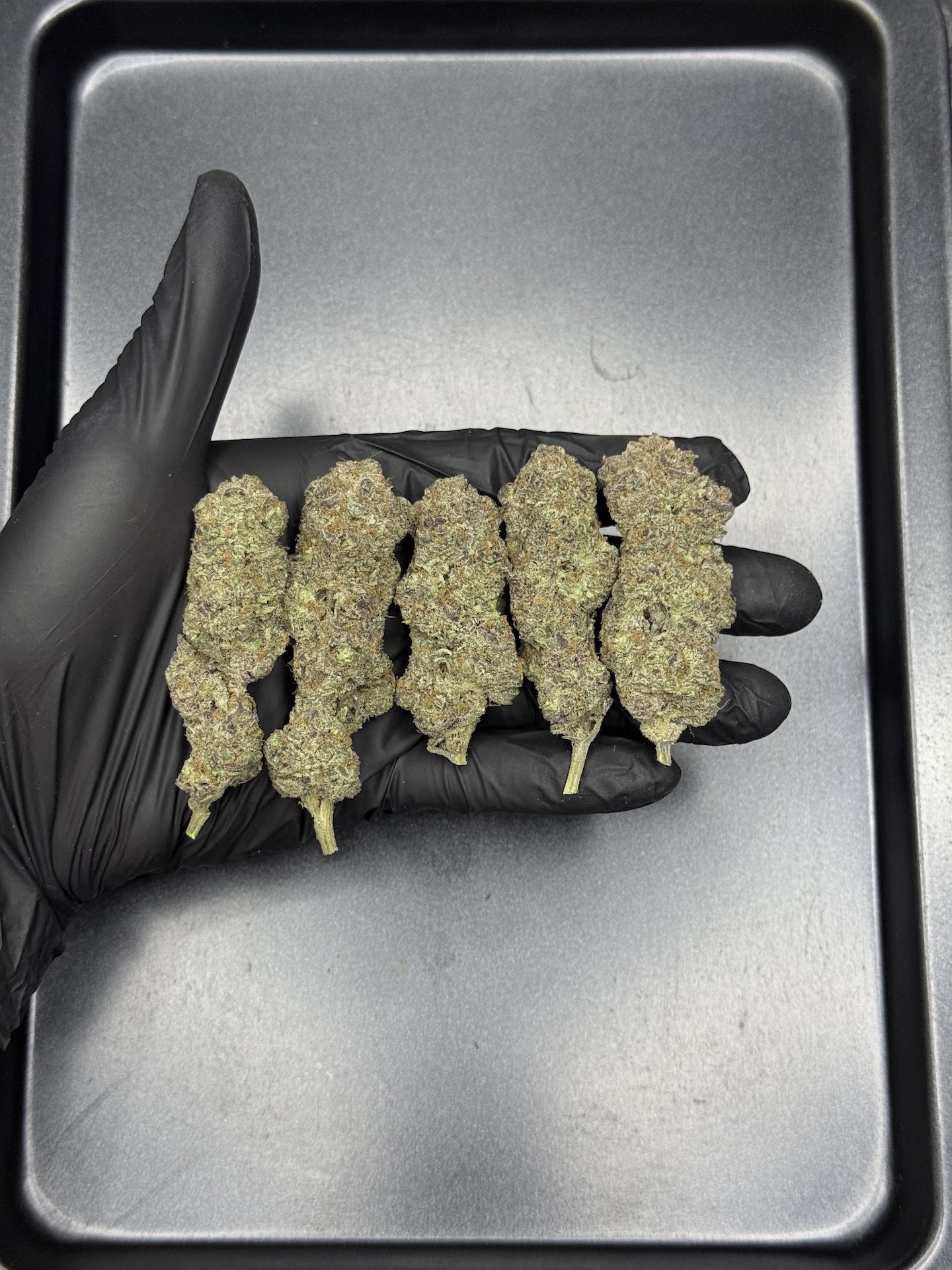 Golden Pussy By. The Grateful Seeds THC 25-30% ð - Image 2